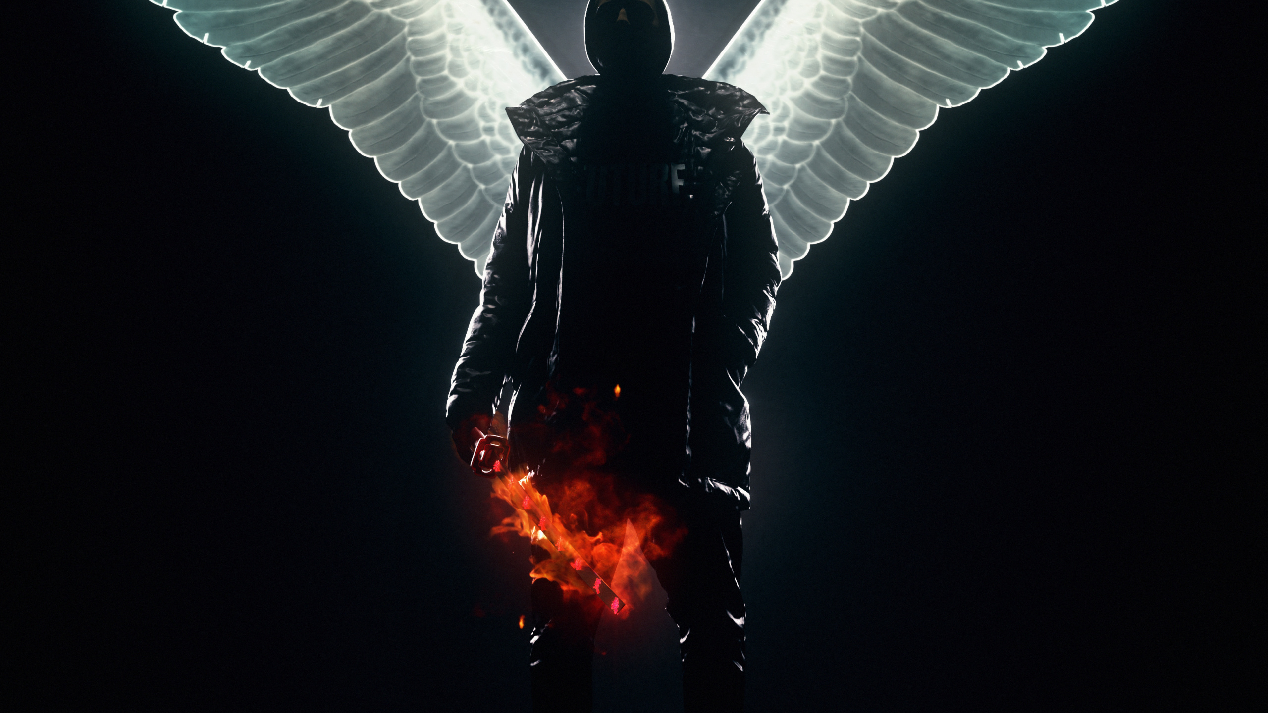 Обои крылья кисти, человеческое тело, арт, крыло, сверхъестественное существо в разрешении 2560x1440