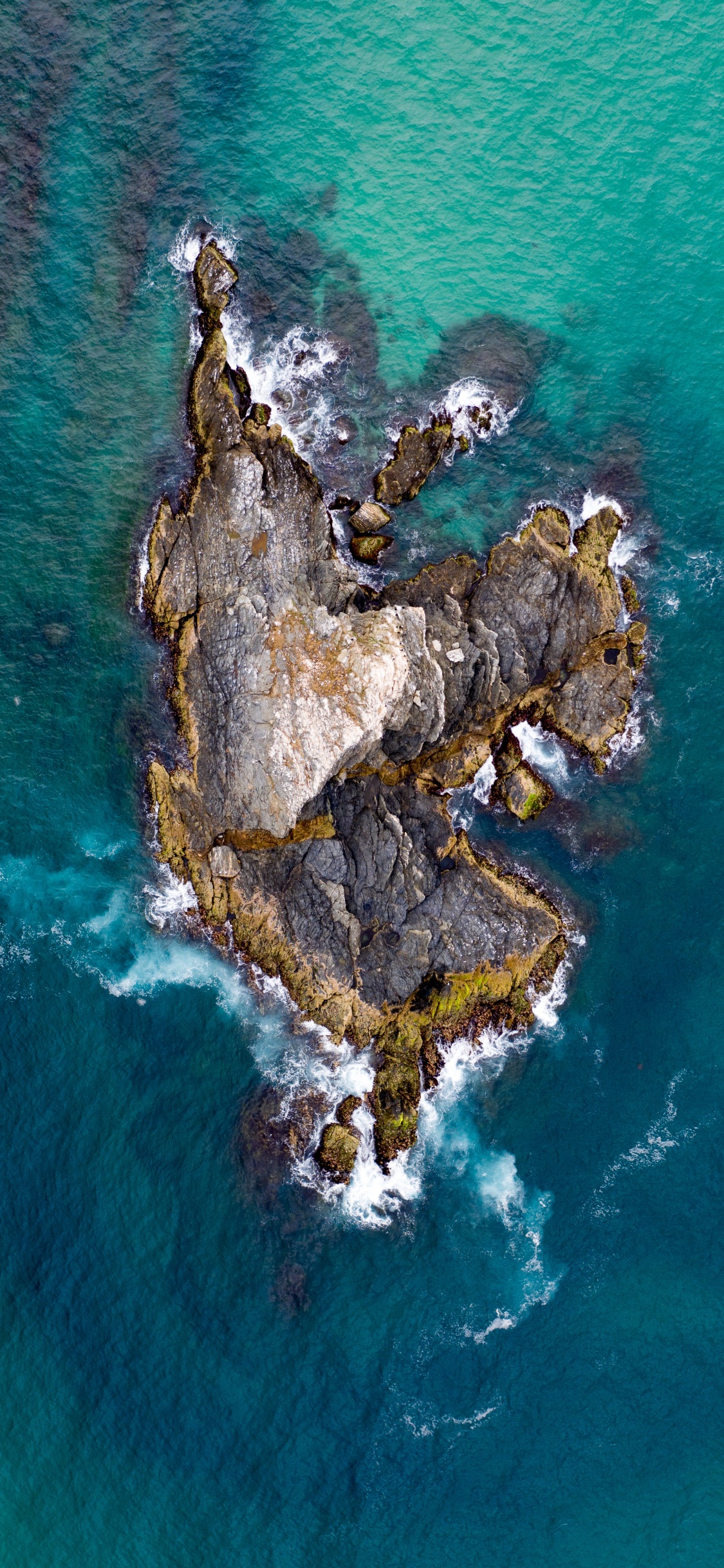 Обои вода, мир, рок, море, дерево в разрешении 1125x2436