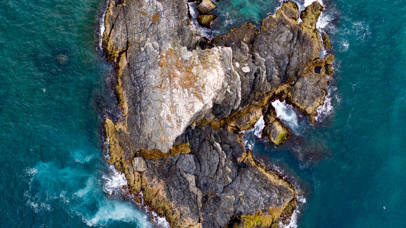 Обои вода, мир, рок, море, дерево в разрешении 1366x768