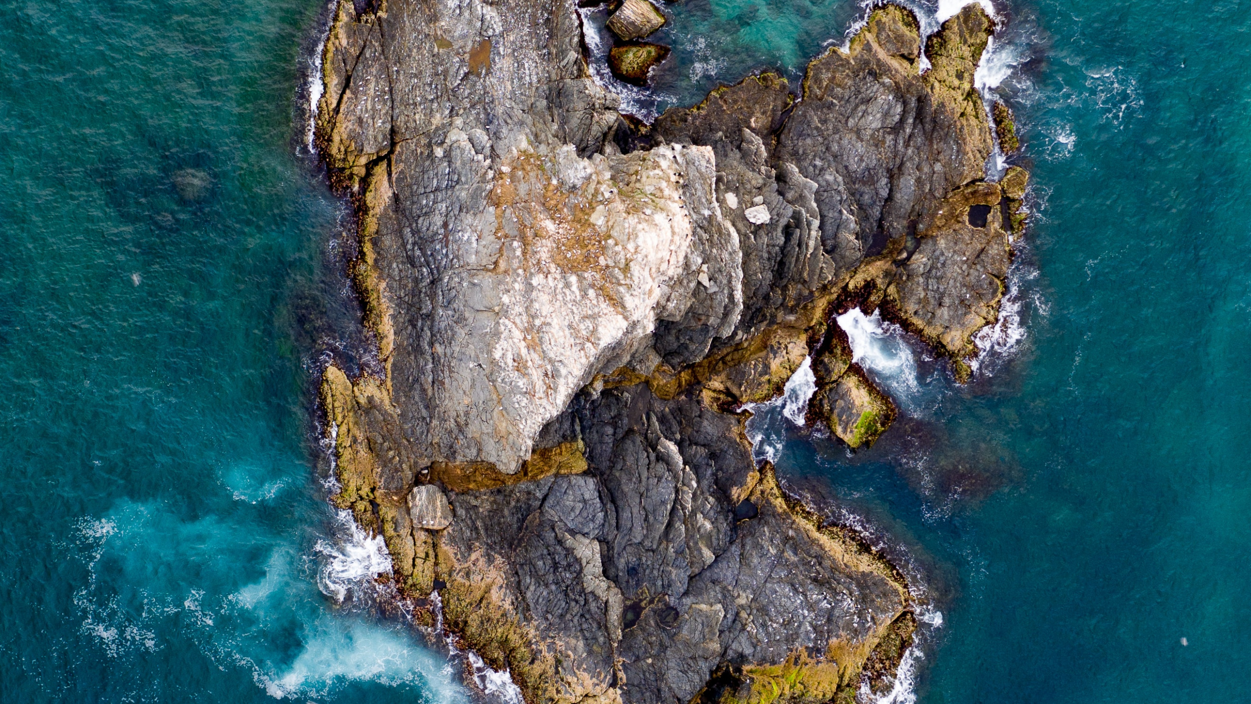 Обои вода, мир, рок, море, дерево в разрешении 2560x1440