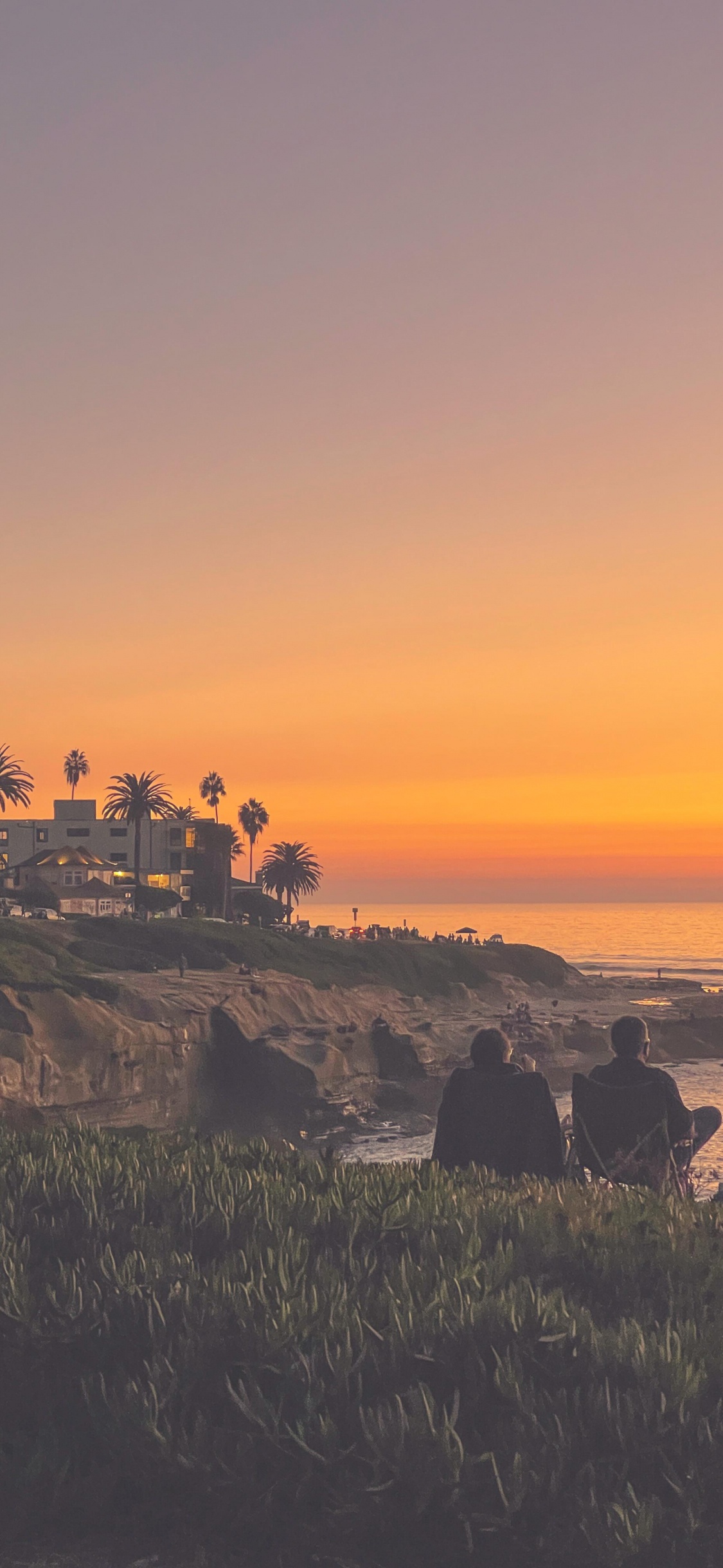 Обои растение, облако, вода, природный ландшафт, сумрак в разрешении 1125x2436