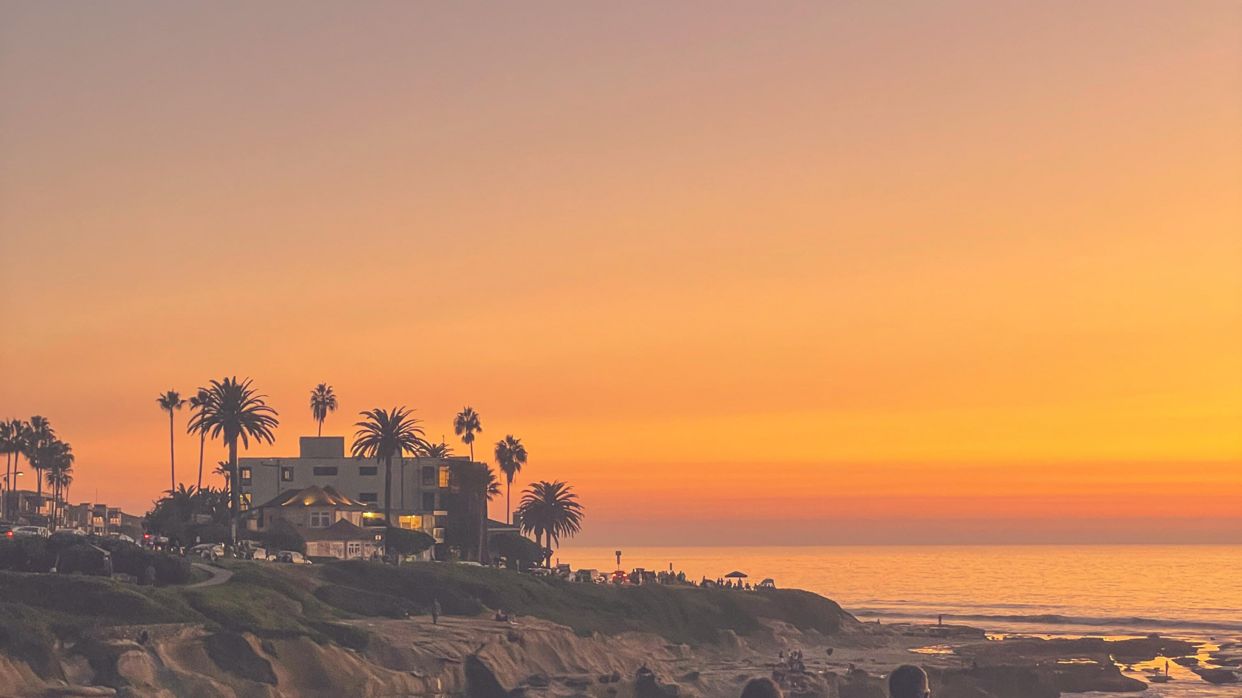 Обои растение, облако, вода, природный ландшафт, сумрак в разрешении 2560x1440