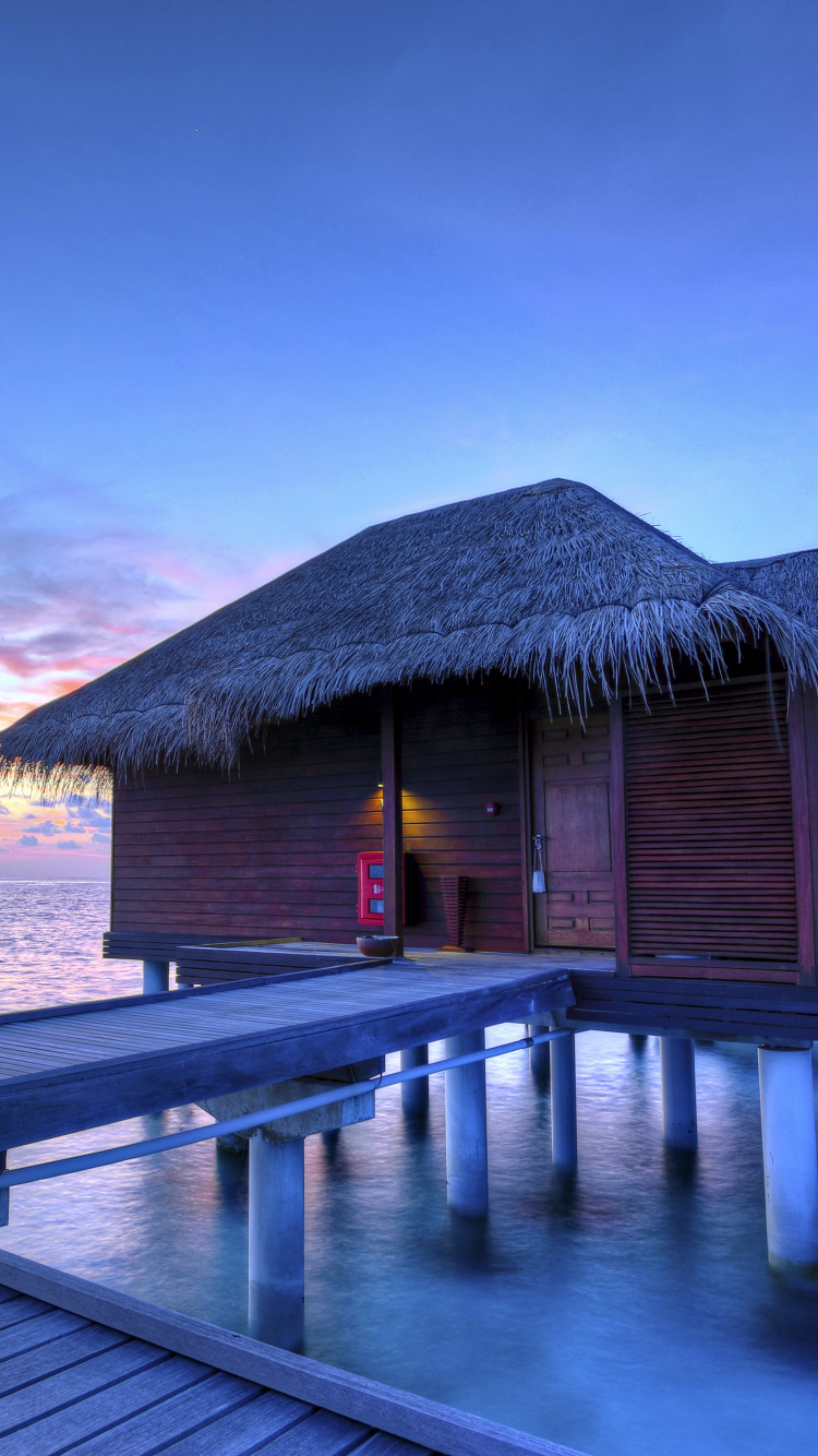 Обои море, океан, прибежище, отпуск, тропическая зона в разрешении 750x1334