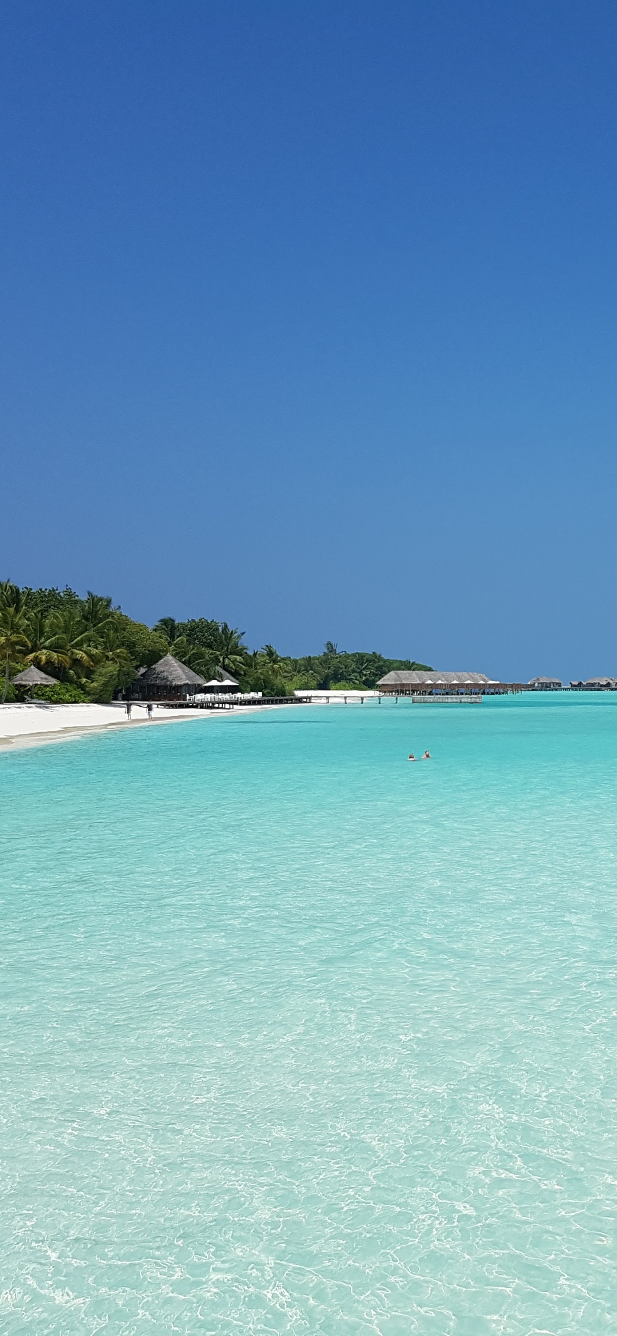 Обои море, Мальдивы, пляж, Атолл, отпуск в разрешении 1242x2688