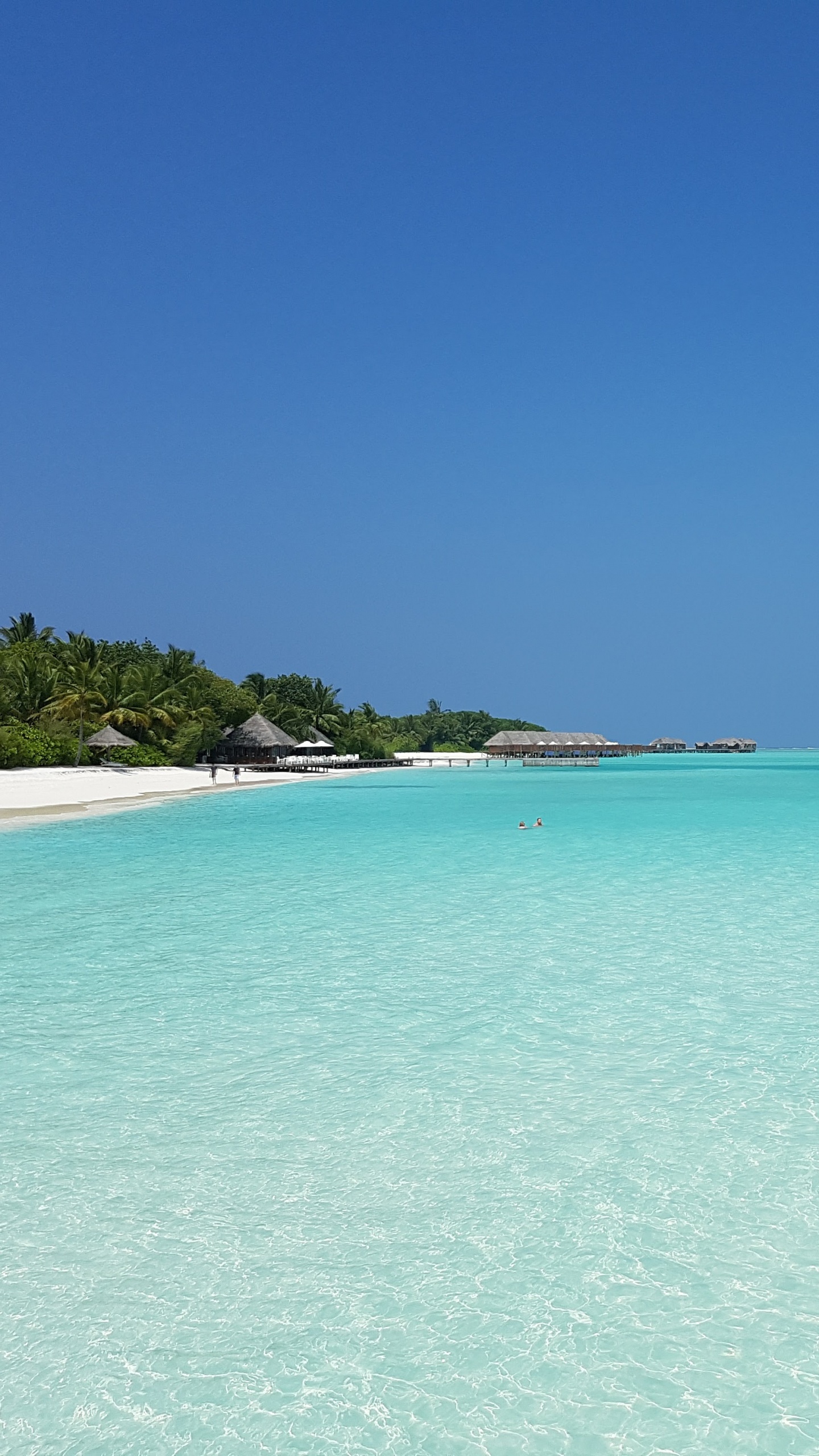 Обои море, Мальдивы, пляж, Атолл, отпуск в разрешении 1440x2560