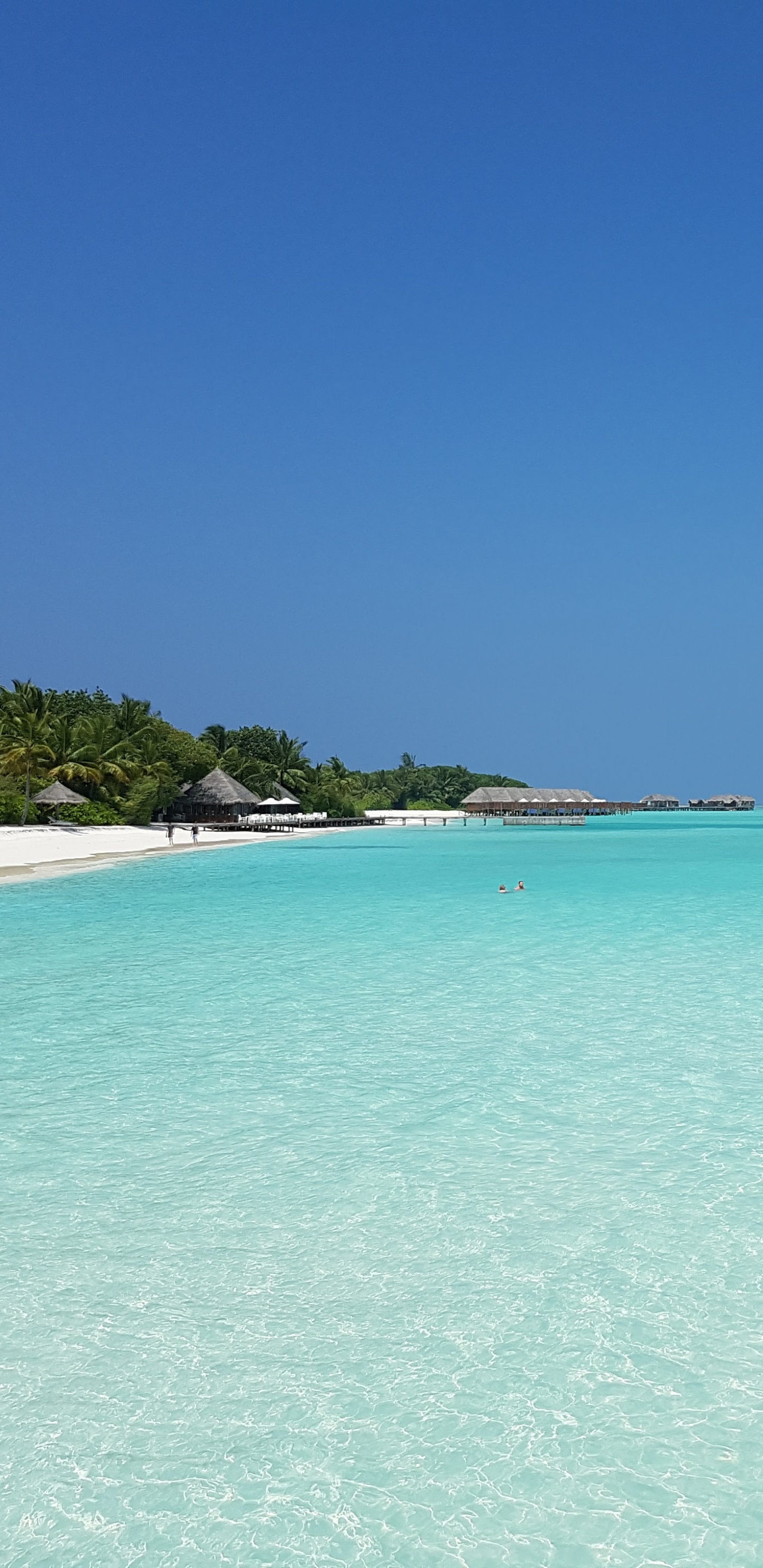 Обои море, Мальдивы, пляж, Атолл, отпуск в разрешении 1440x2960