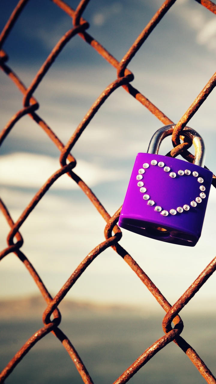 Обои ограждать провода, ячейка, замок, железо, забор в разрешении 720x1280