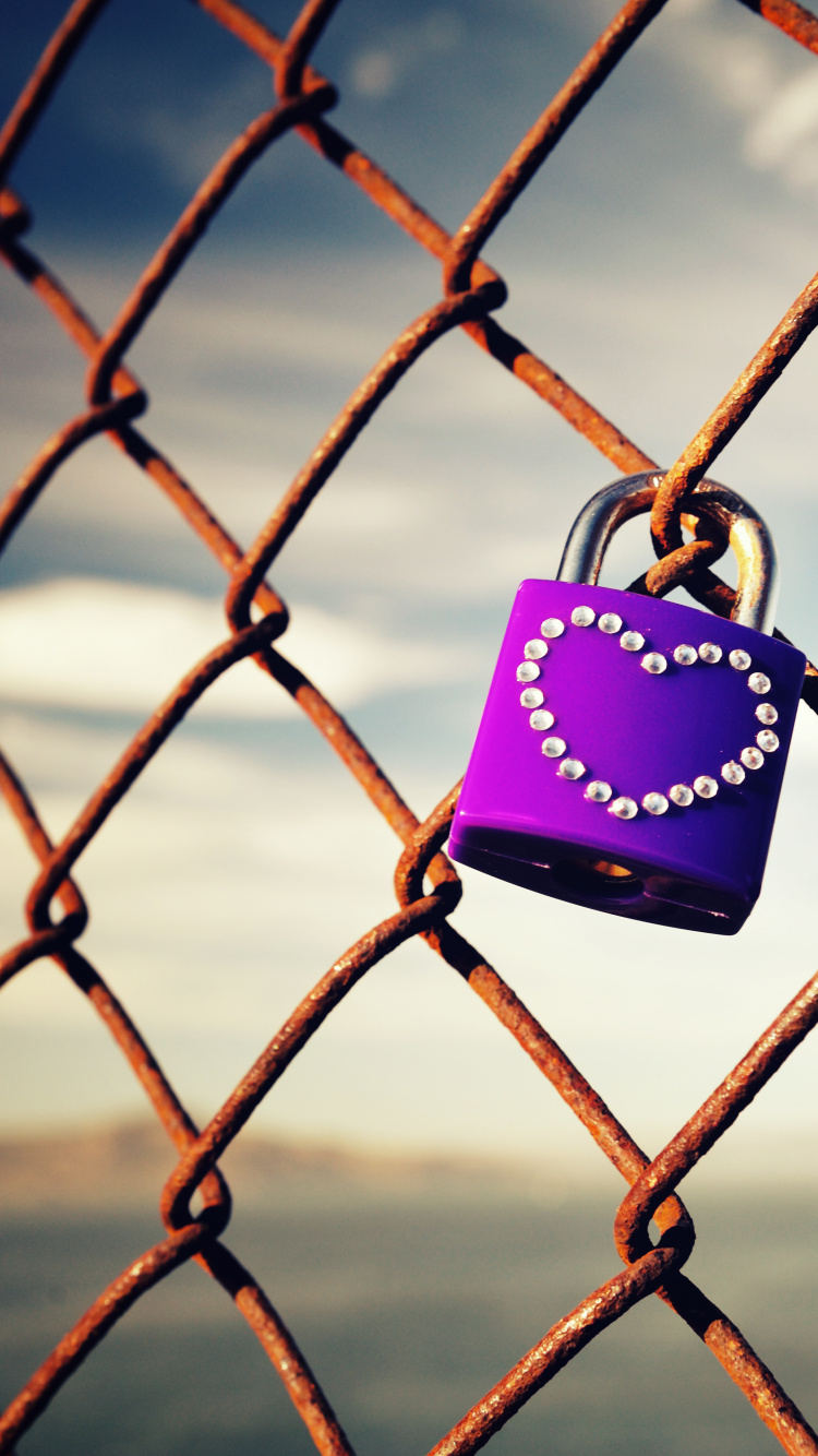 Обои ограждать провода, ячейка, замок, железо, забор в разрешении 750x1334