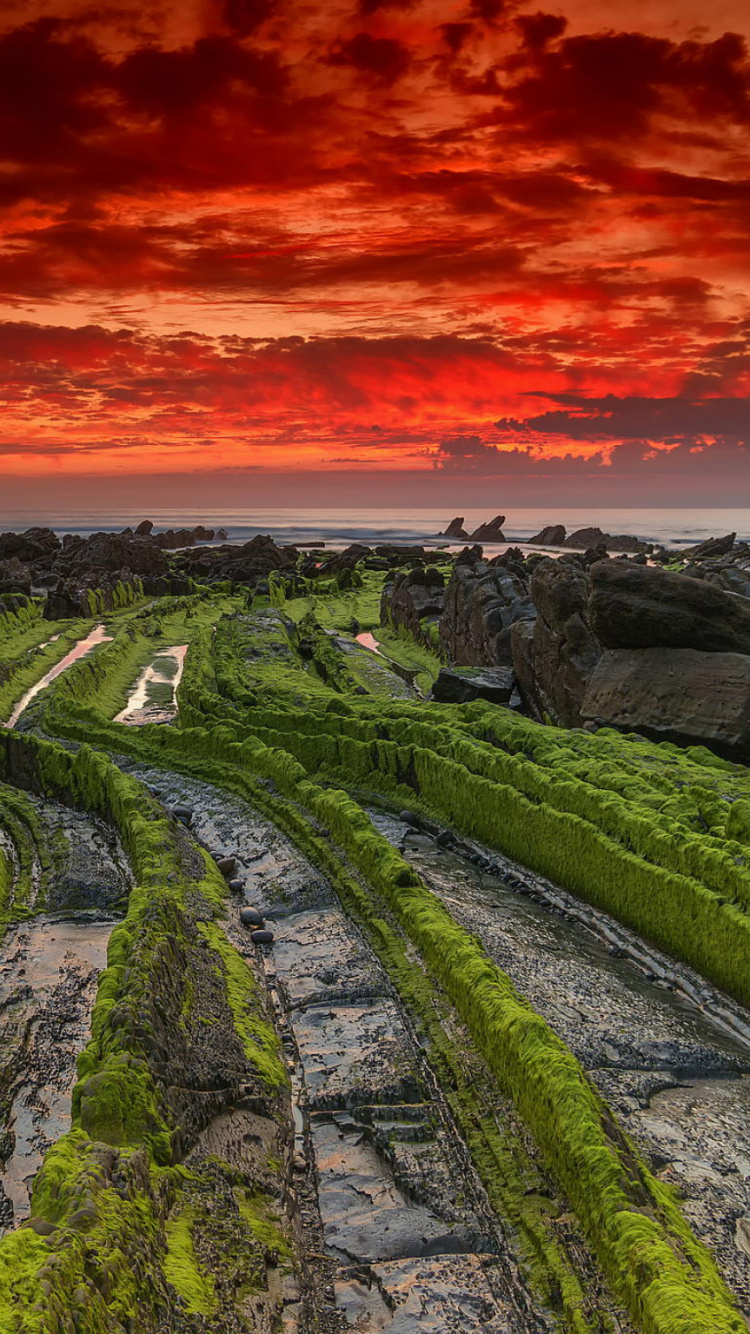 Обои природа, горизонт, утро, облако, горы в разрешении 750x1334