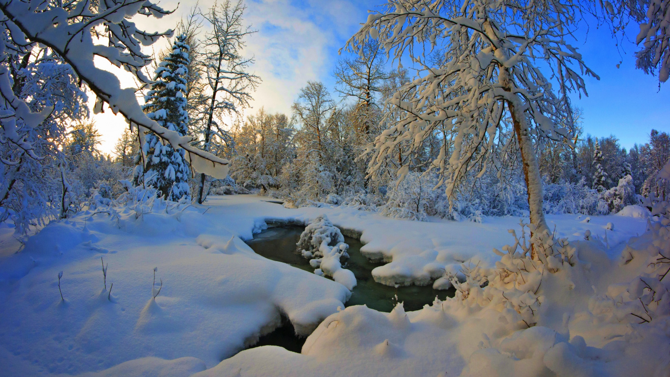 Обои снег, мороз, дерево, замораживание, пиксель в разрешении 1366x768