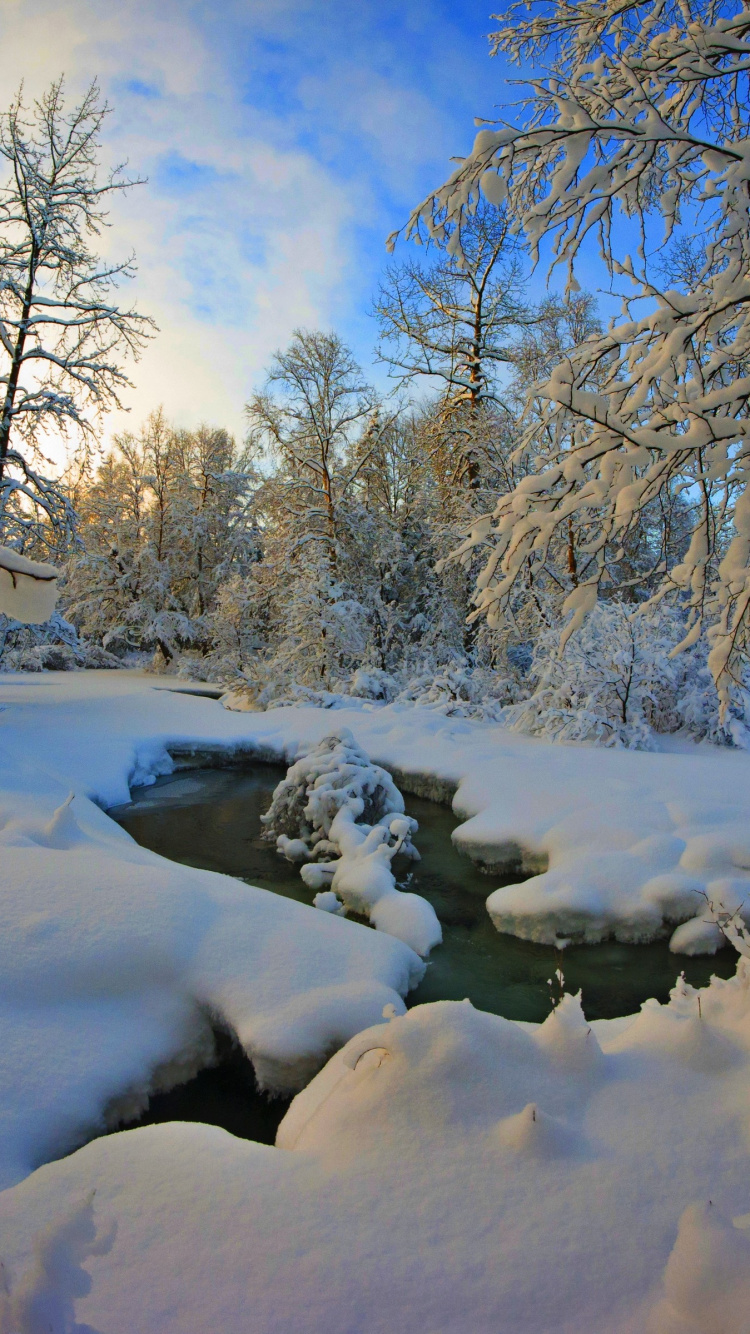 Обои снег, мороз, дерево, замораживание, пиксель в разрешении 750x1334