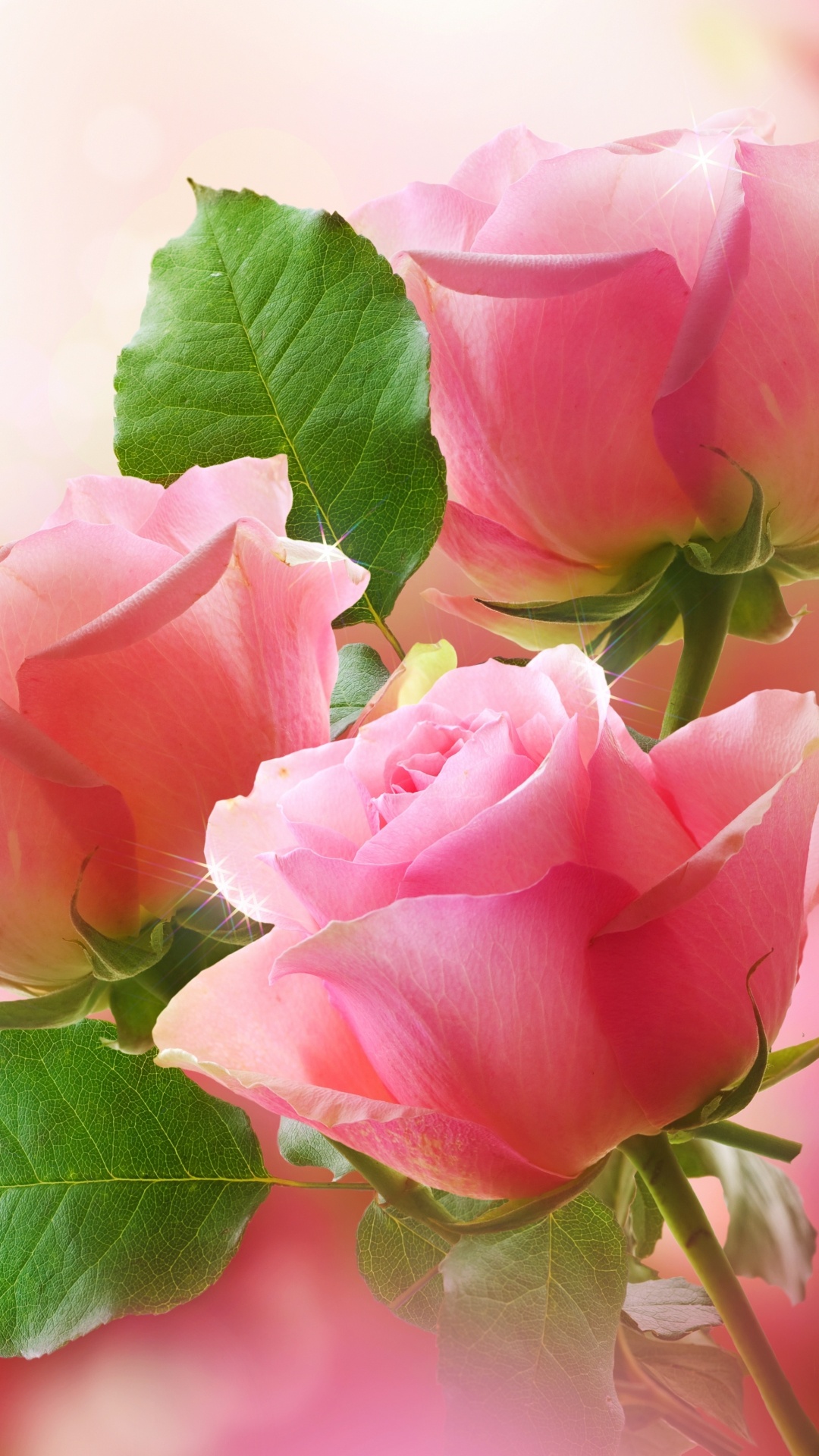 Обои Роза, цветочный букет, цветочный дизайн, розовый, цветковое растение в разрешении 1080x1920