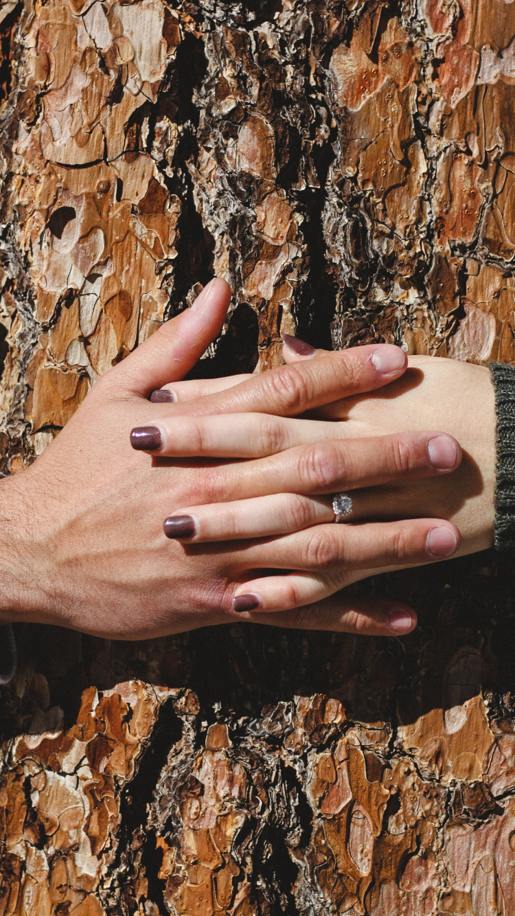 Обои дерево, древесина, Люди в природе, древесные растения, рука в разрешении 750x1334