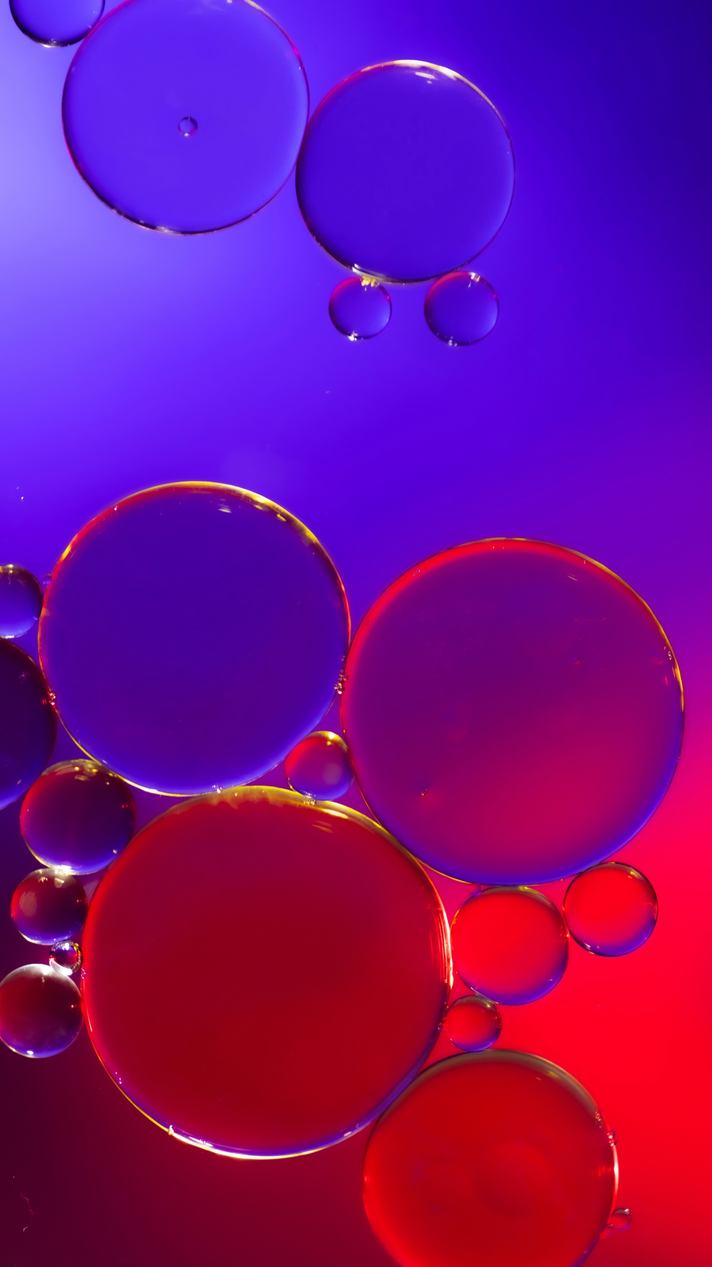 Обои свет, вода, жидкий, пурпур, лазурный в разрешении 1440x2560