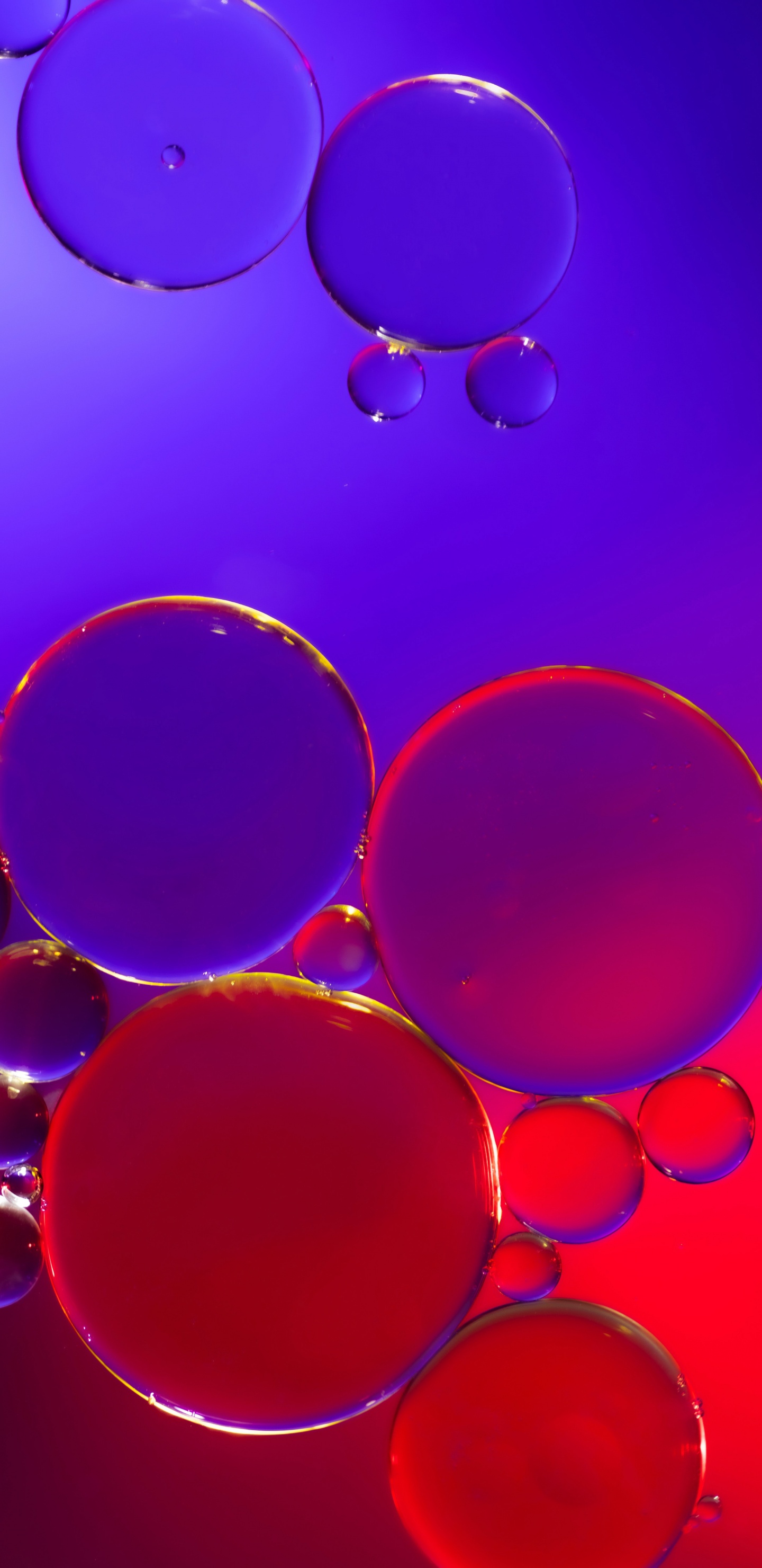 Обои свет, вода, жидкий, пурпур, лазурный в разрешении 1440x2960