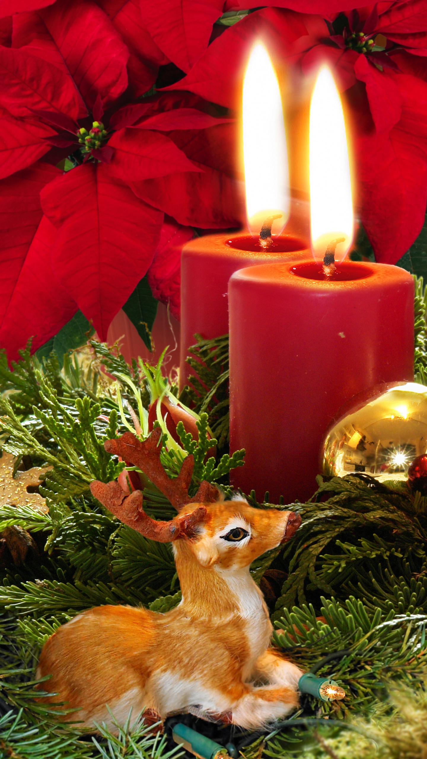 Обои Рождественский день, свеча, Рождественские украшения, пуансеттия, Рождество в разрешении 1440x2560