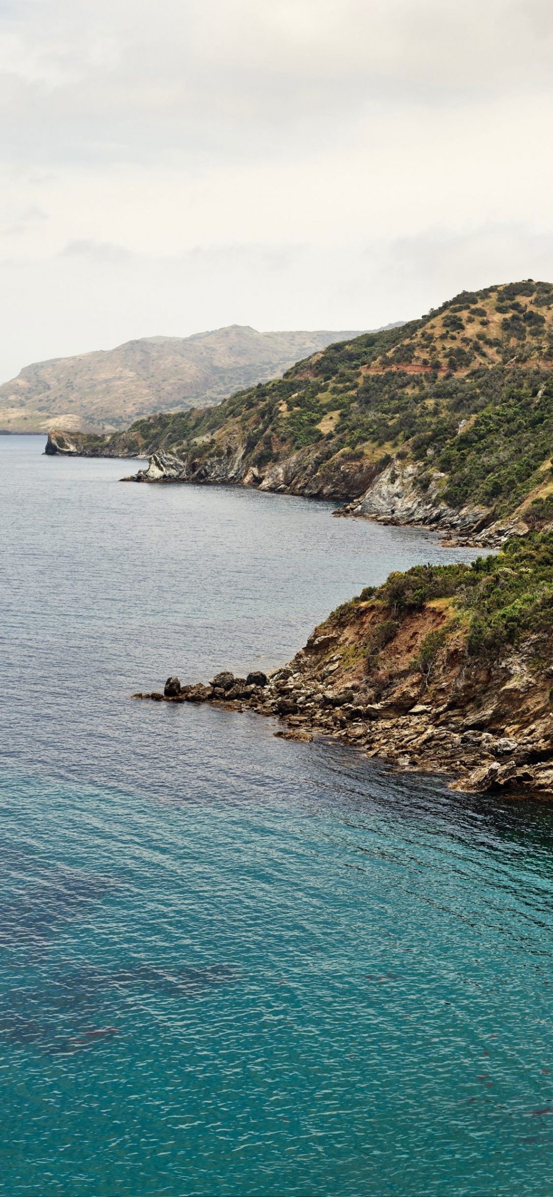 Обои apple, iPhone, macOS Catalina, яблоко, ios в разрешении 1125x2436