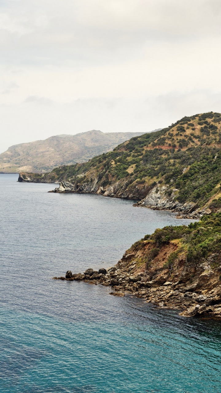 Обои apple, iPhone, macOS Catalina, яблоко, ios в разрешении 720x1280