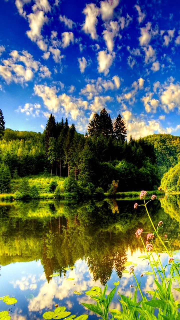 Обои природа, отражение, вода, озеро, дикая местность в разрешении 720x1280