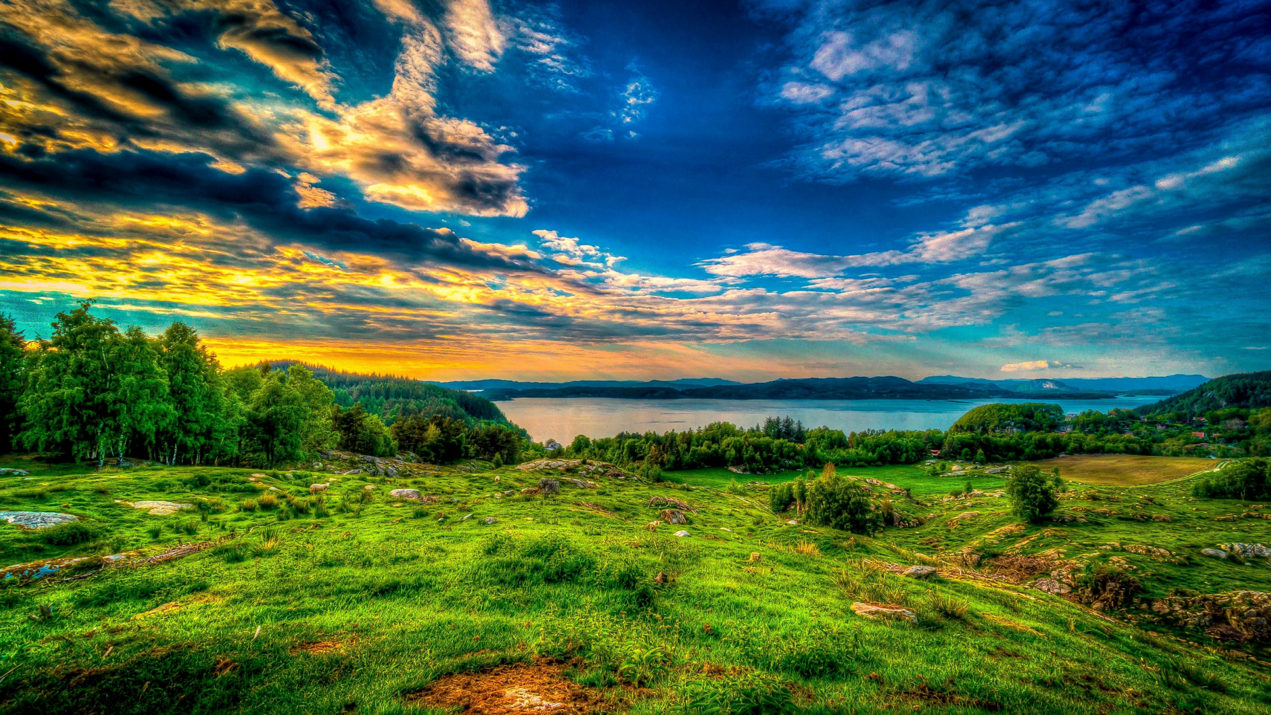 Обои природа, сенокосное угодье, растительность, трава, атмосфера в разрешении 2560x1440