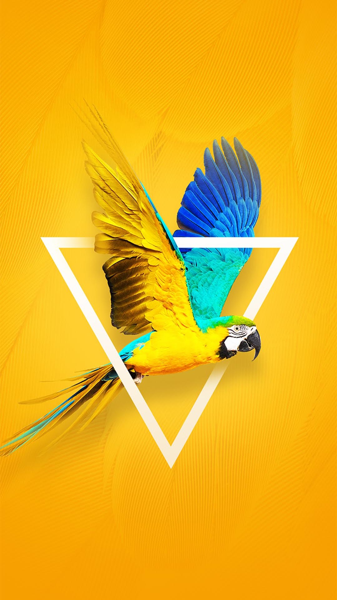 Обои Tecno, Tecno Camon X, яблоко, андроид, синий в разрешении 1080x1920