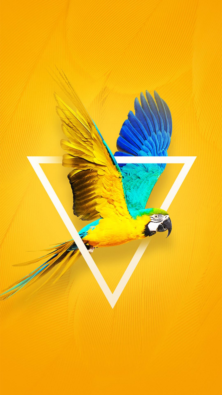 Обои Tecno, Tecno Camon X, яблоко, андроид, синий в разрешении 750x1334