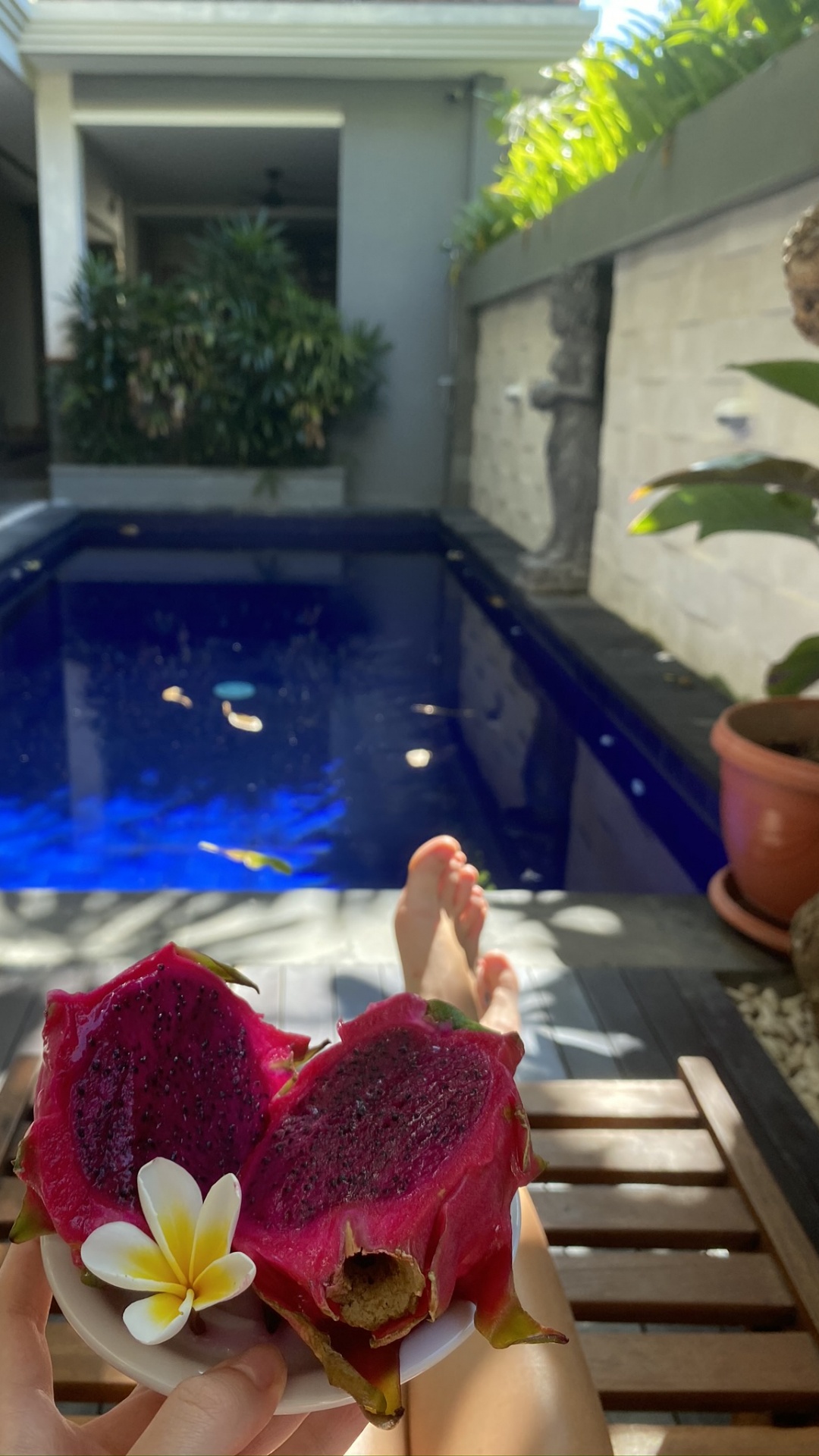 Обои бали, плавательный бассейн, биология, наука, лепесток в разрешении 1080x1920