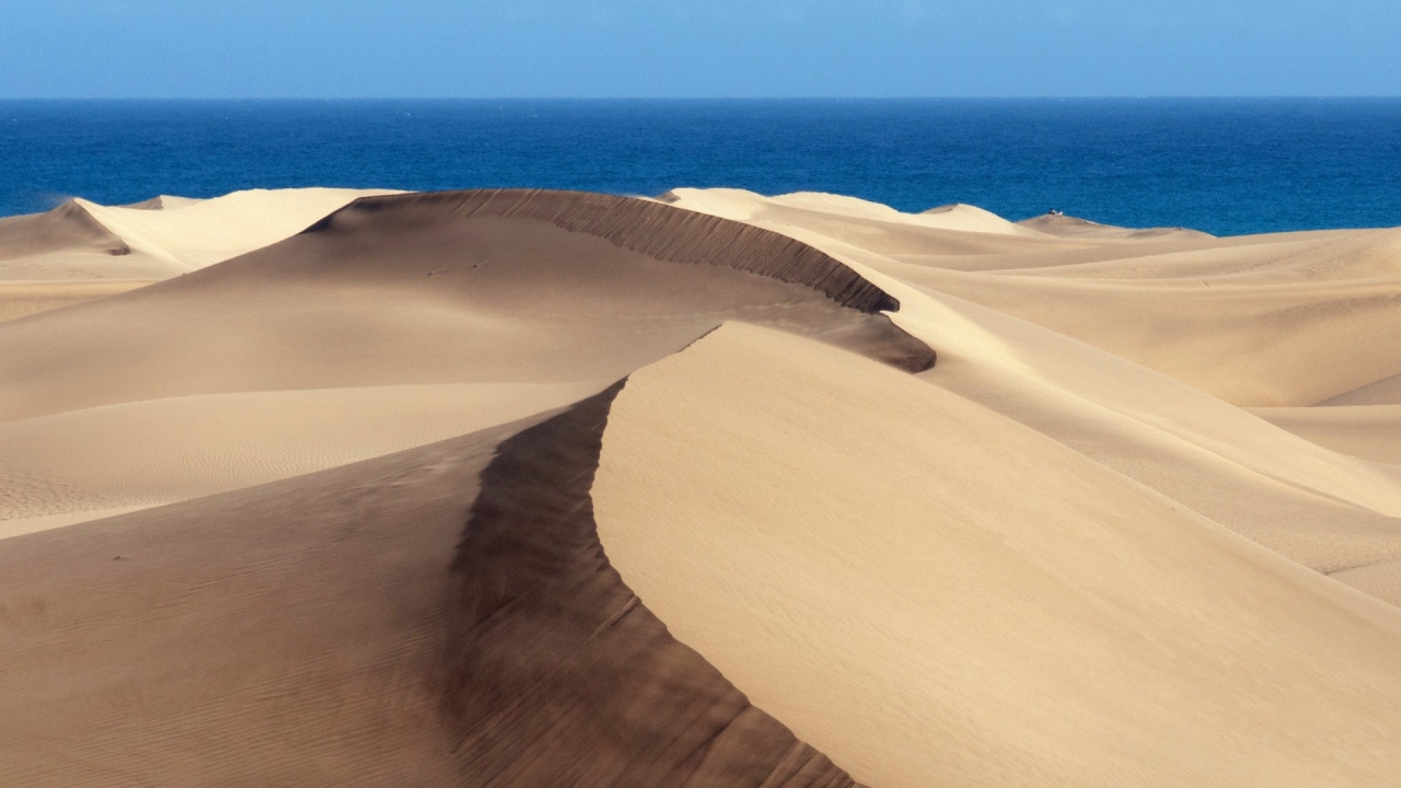 Обои пустыня, Дюна, песок, эрг, эолийские рельефы в разрешении 1280x720