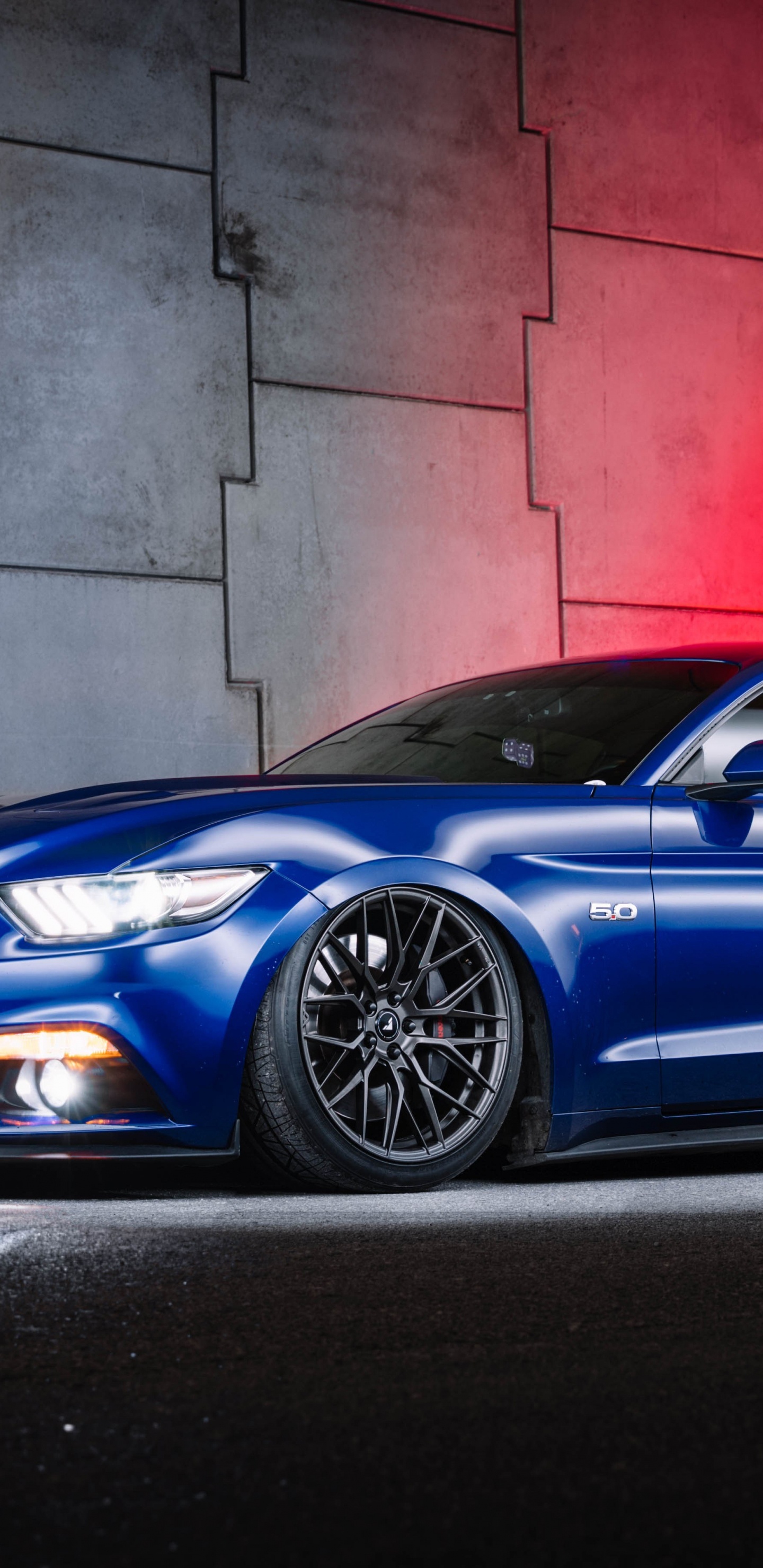 Обои авто, 2019 Форд Мустанг, обод, синий, личный роскошный автомобиль в разрешении 1440x2960