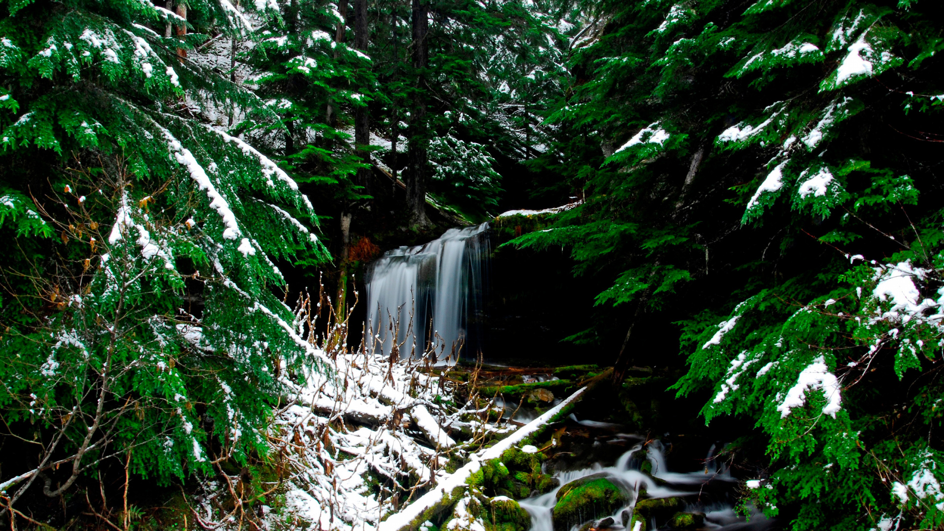 Обои водоем, природа, растительность, вода, природный заповедник в разрешении 1920x1080