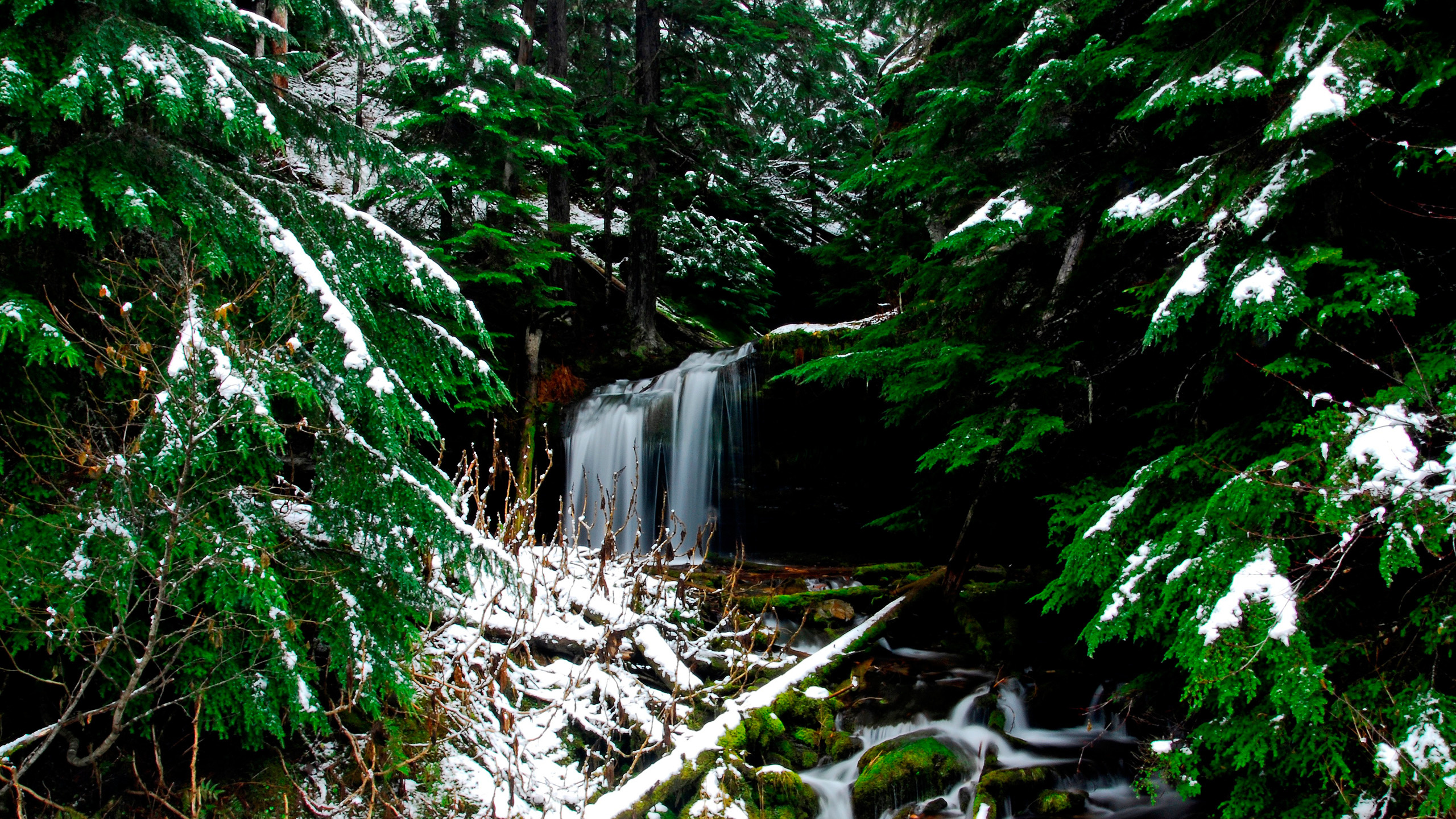 Обои водоем, природа, растительность, вода, природный заповедник в разрешении 2560x1440