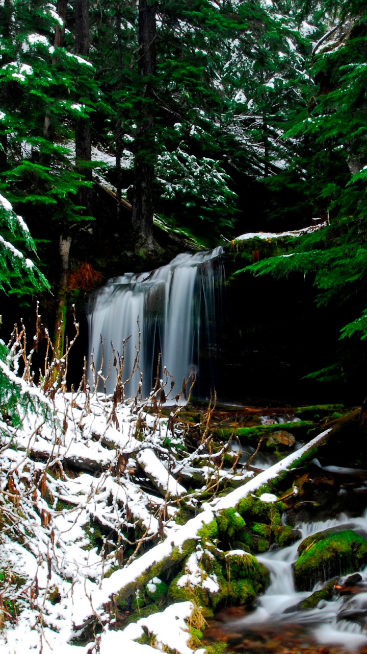 Обои водоем, природа, растительность, вода, природный заповедник в разрешении 720x1280