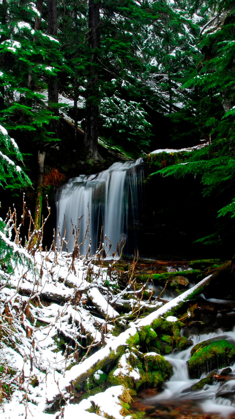 Обои водоем, природа, растительность, вода, природный заповедник в разрешении 750x1334