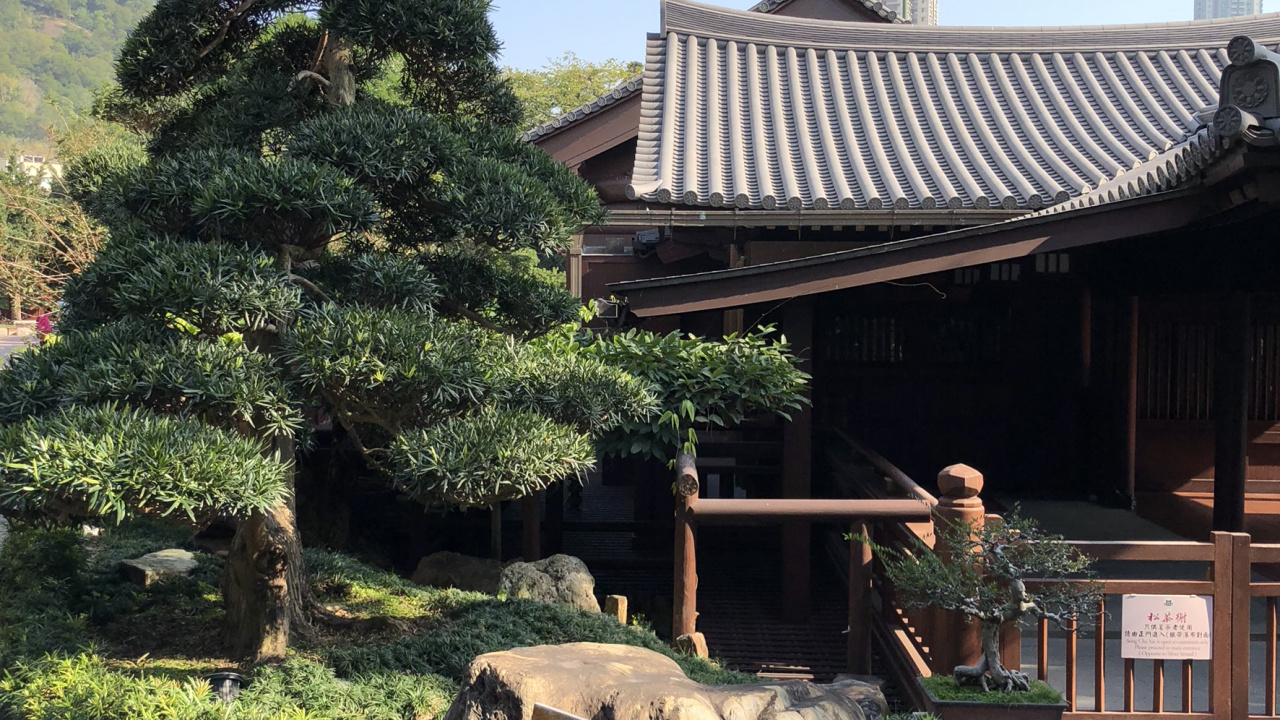 Обои Гонконг, дерево, бонсай, китайская архитектура, японская архитектура в разрешении 1280x720