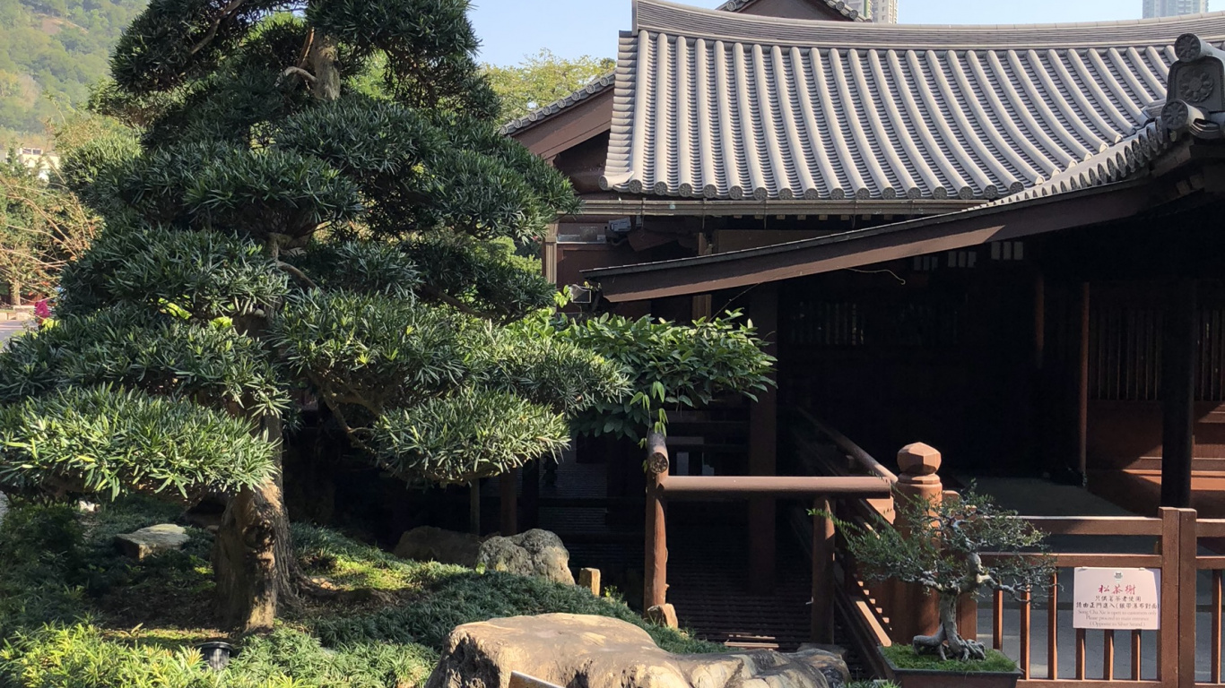 Обои Гонконг, дерево, бонсай, китайская архитектура, японская архитектура в разрешении 1366x768