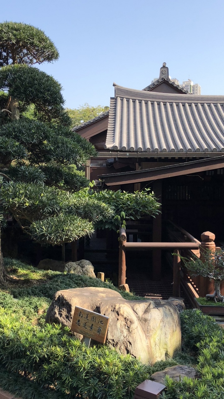 Обои Гонконг, дерево, бонсай, китайская архитектура, японская архитектура в разрешении 720x1280