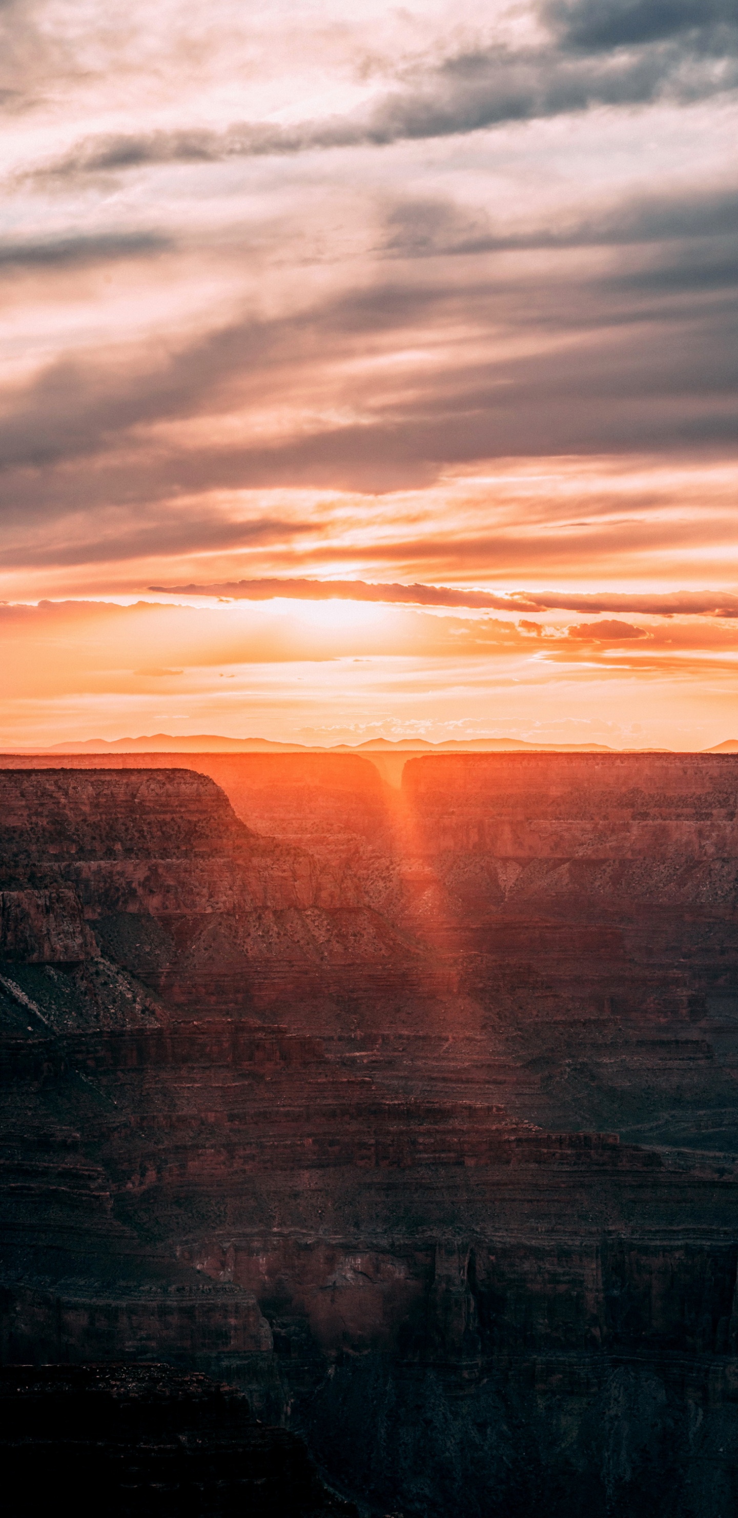 Обои восход солнца, облако, атмосфера, послесвечение, природный ландшафт в разрешении 1440x2960