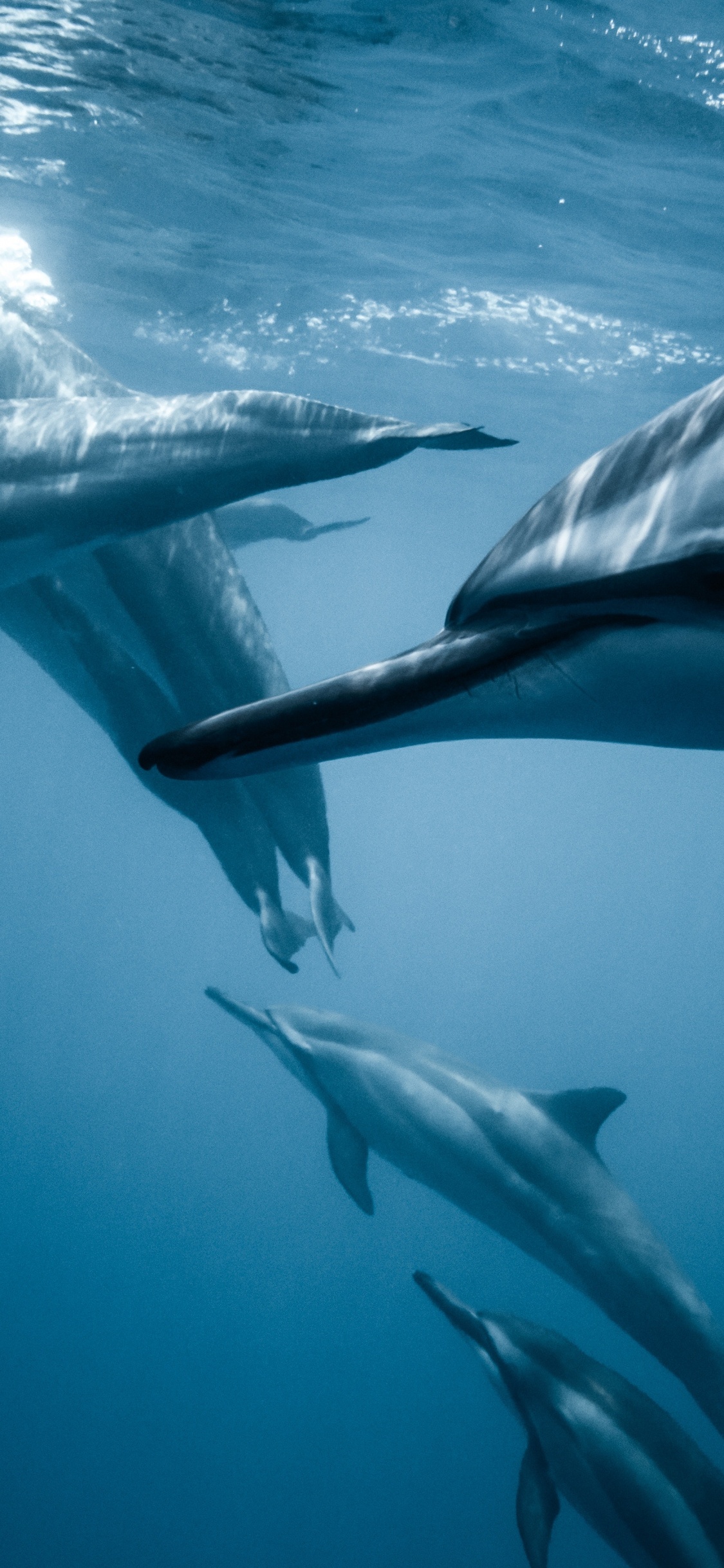 Обои погода, пресса, вода, жидкий, лазурный в разрешении 1125x2436