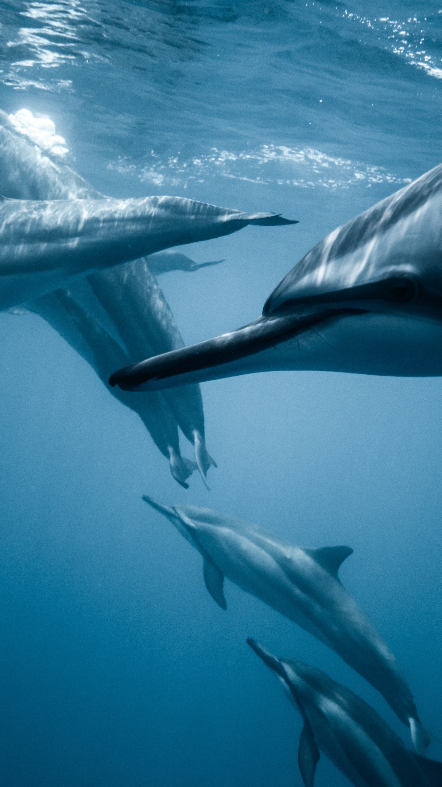 Обои погода, пресса, вода, жидкий, лазурный в разрешении 1440x2560