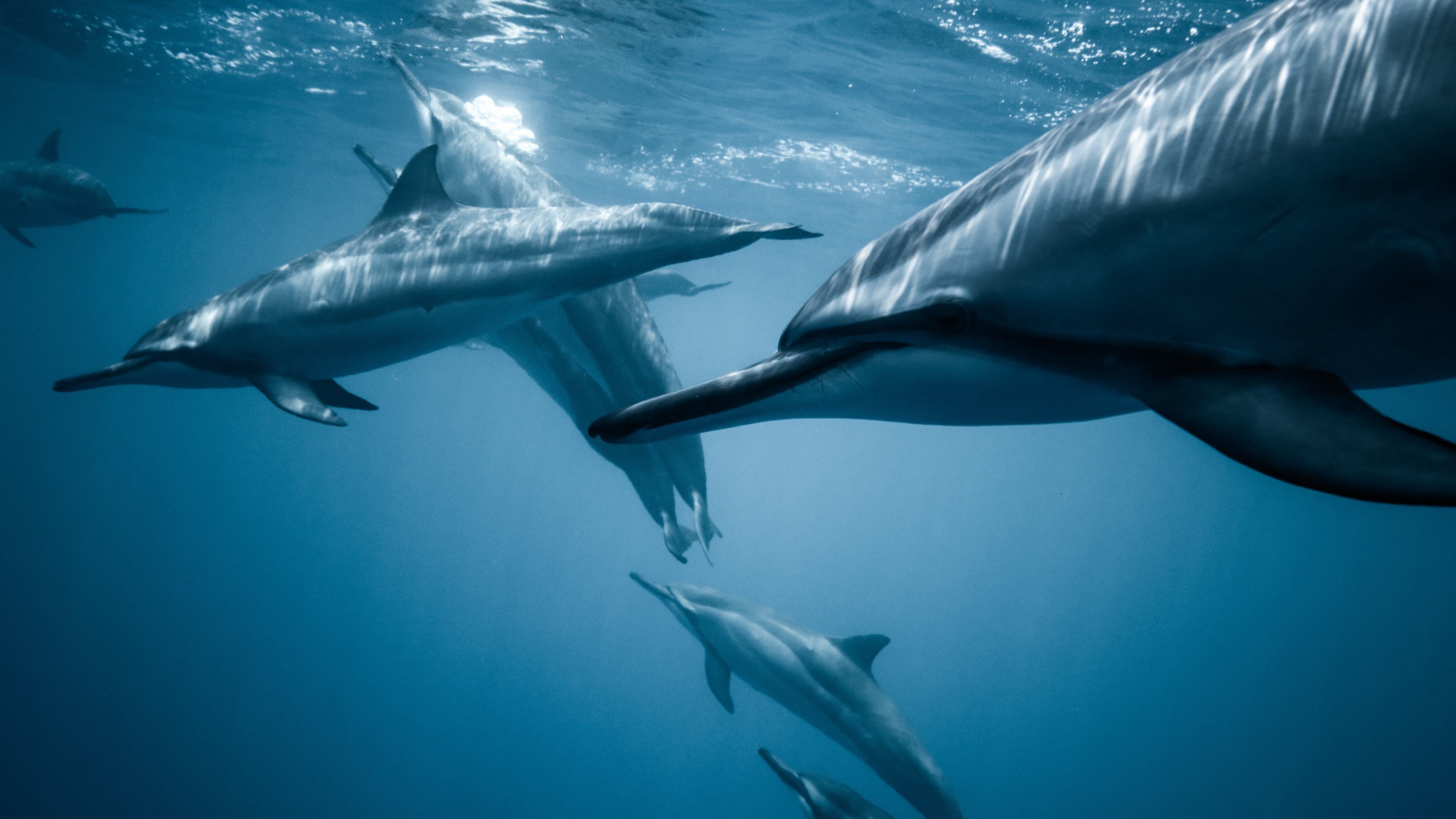 Обои погода, пресса, вода, жидкий, лазурный в разрешении 3840x2160