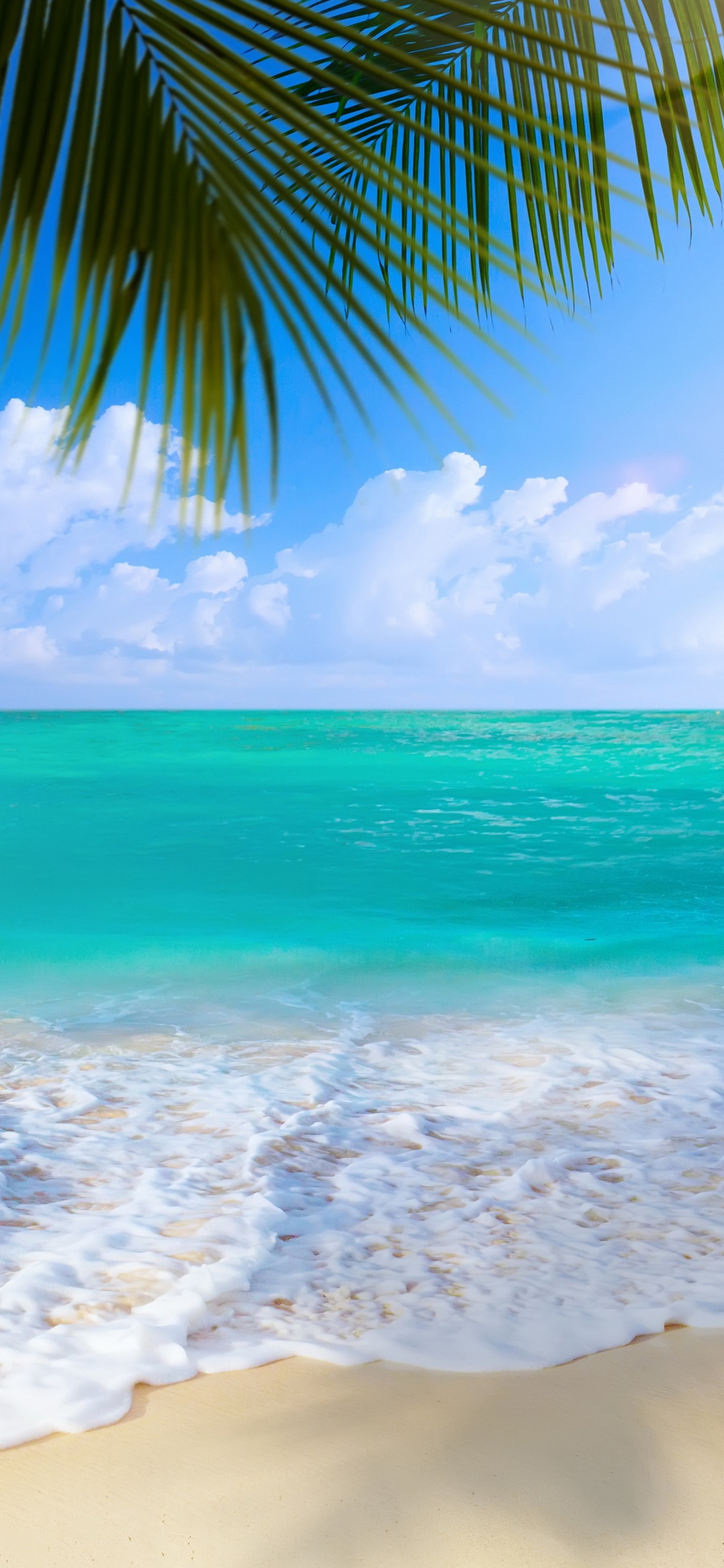 Обои берег, пляж, море, океан, водоем в разрешении 1125x2436