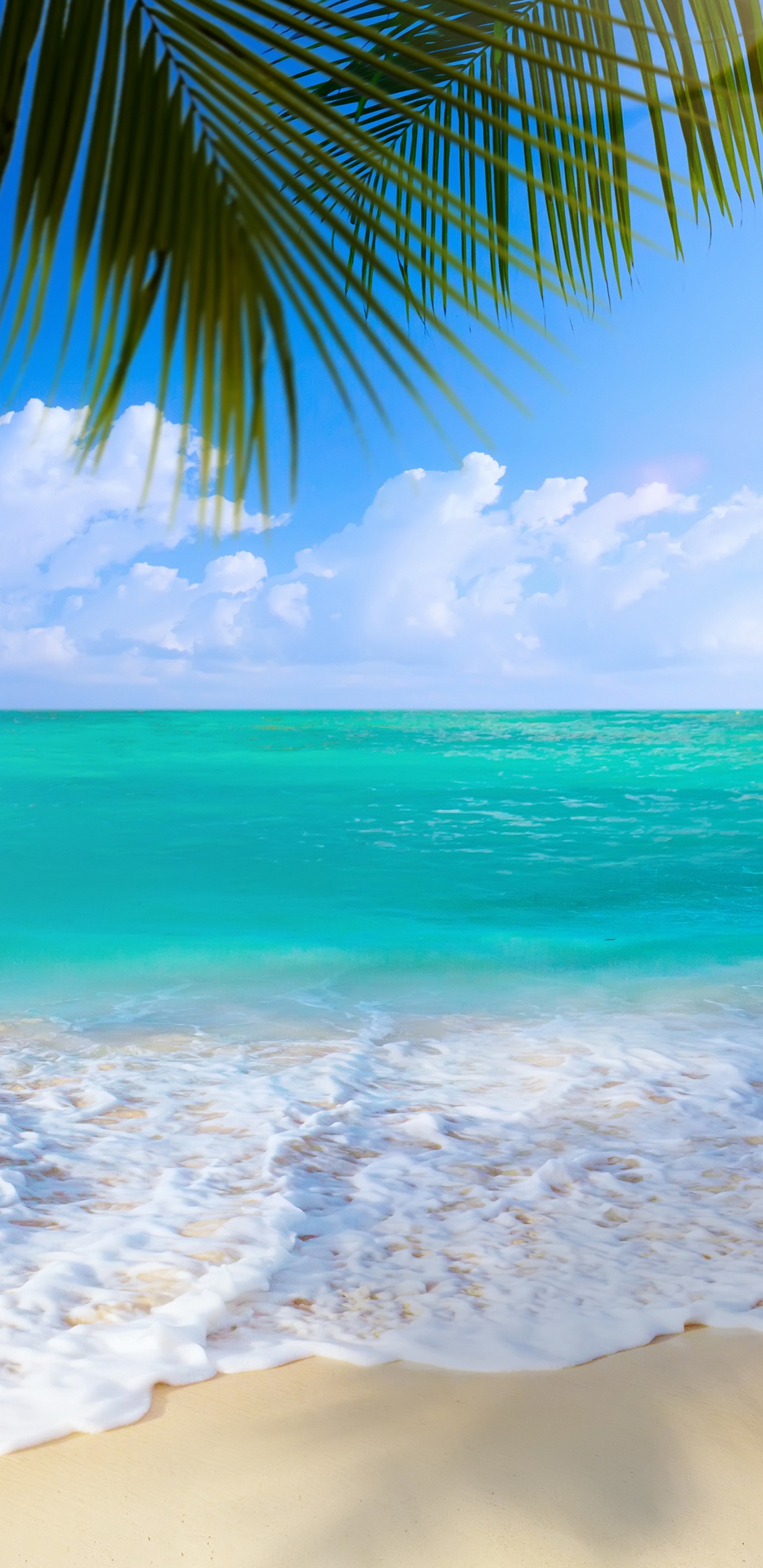 Обои берег, пляж, море, океан, водоем в разрешении 1440x2960