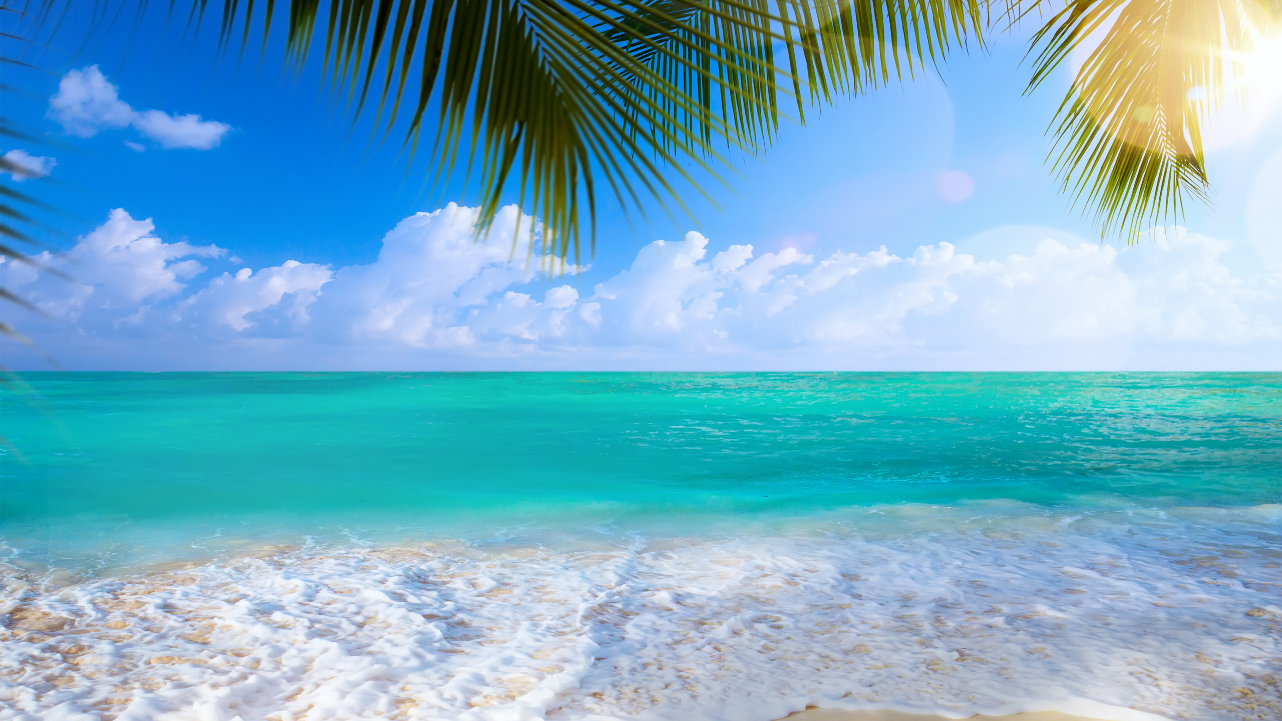 Обои берег, пляж, море, океан, водоем в разрешении 2560x1440