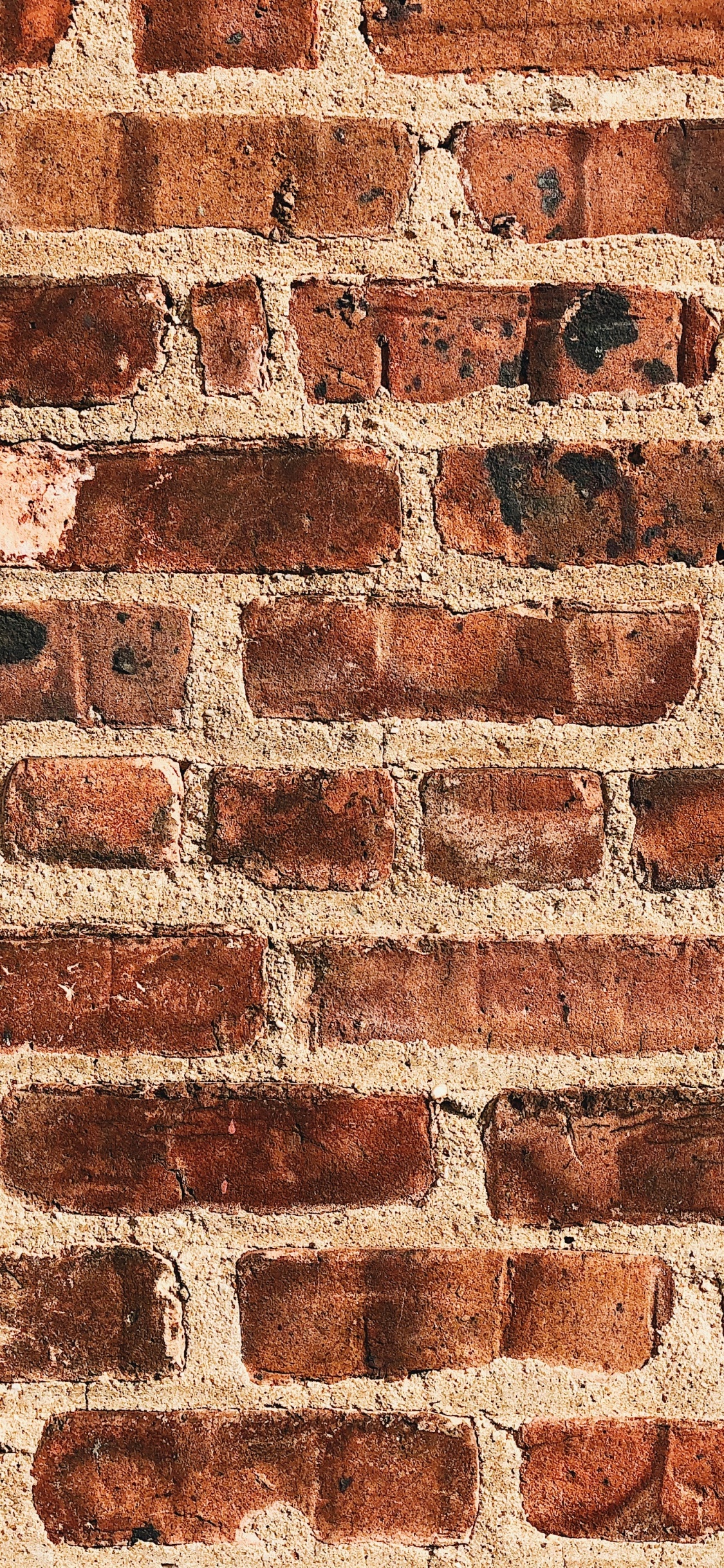 Обои кирпич, стена, кирпичная кладка, каменная стена, текстура в разрешении 1125x2436