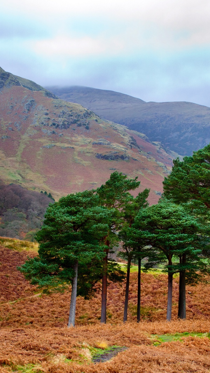 Обои природа, горный рельеф, нагорье, горная станция, гора в разрешении 720x1280