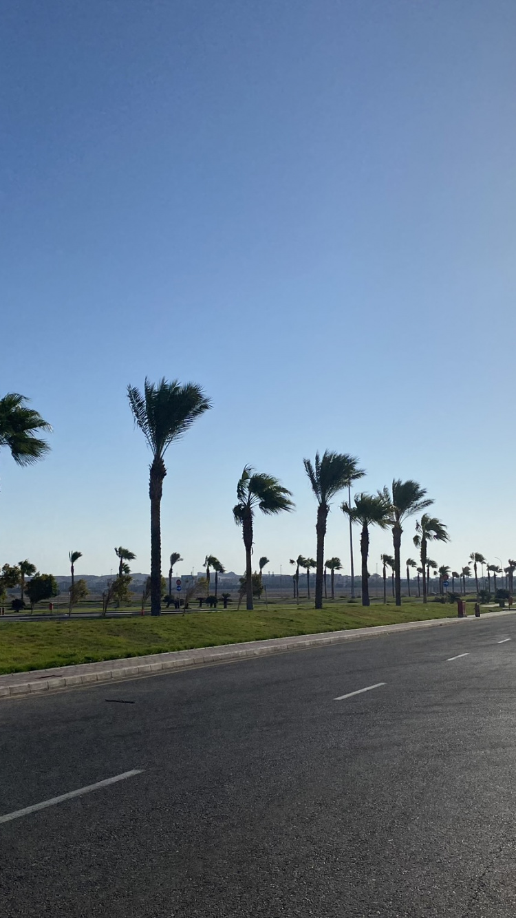 Обои Король, дневное время, дорога, дорожное покрытие, асфальт в разрешении 750x1334