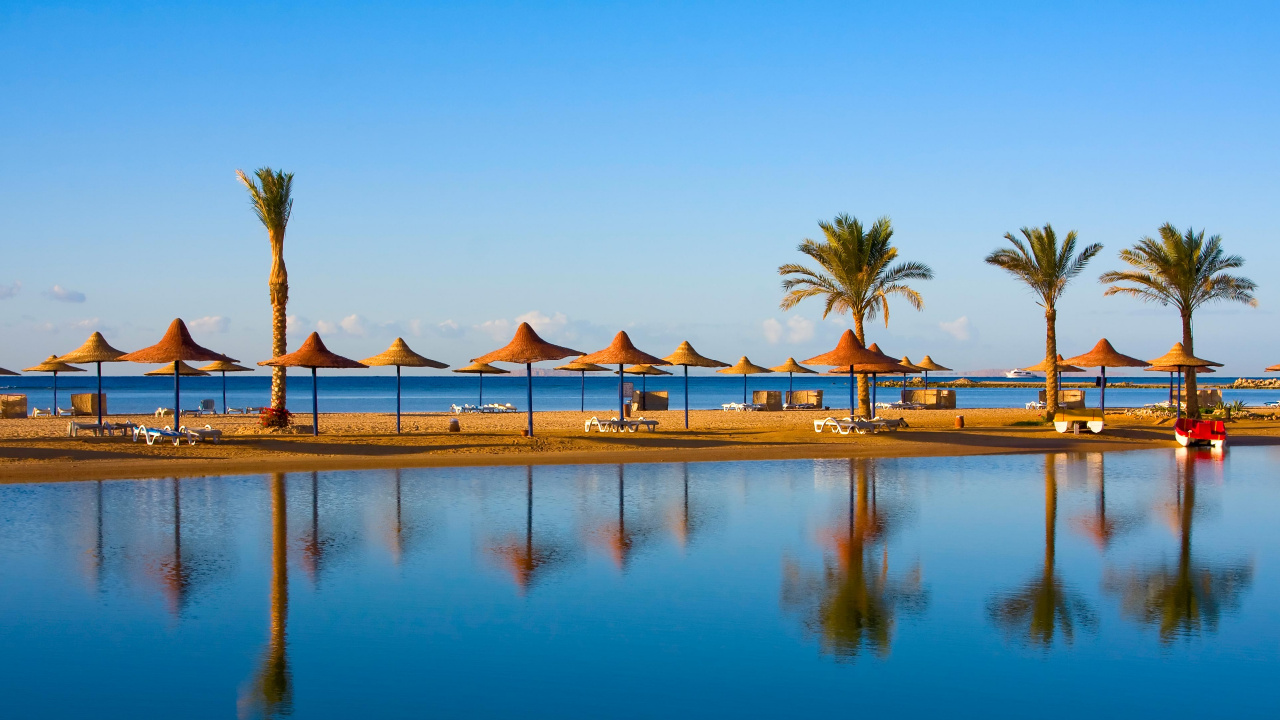 Обои отпуск, прибежище, отражение, Пальма, праздник в разрешении 1280x720