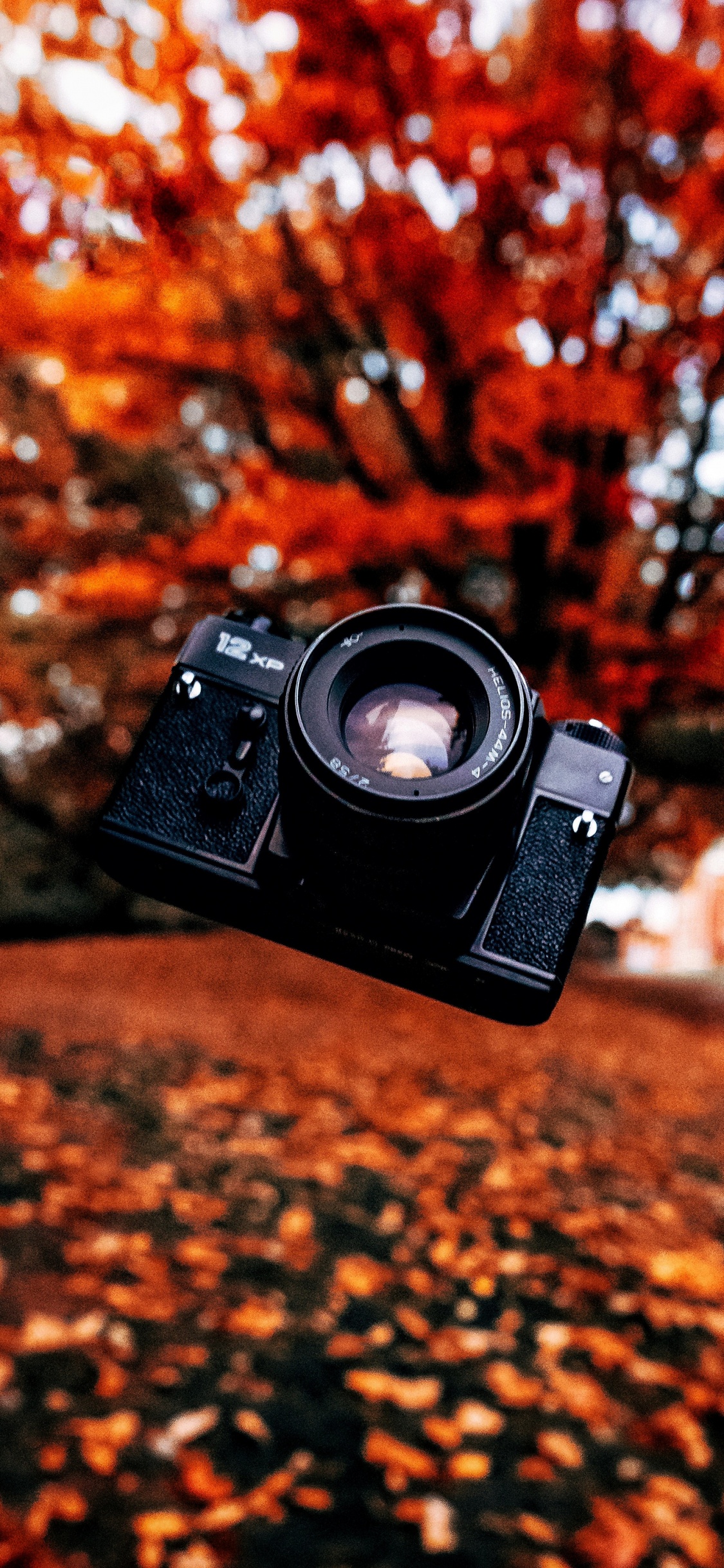 Обои крупный план, цифровой фотоаппарат, камера, зеркальная камера, объектив камеры в разрешении 1125x2436