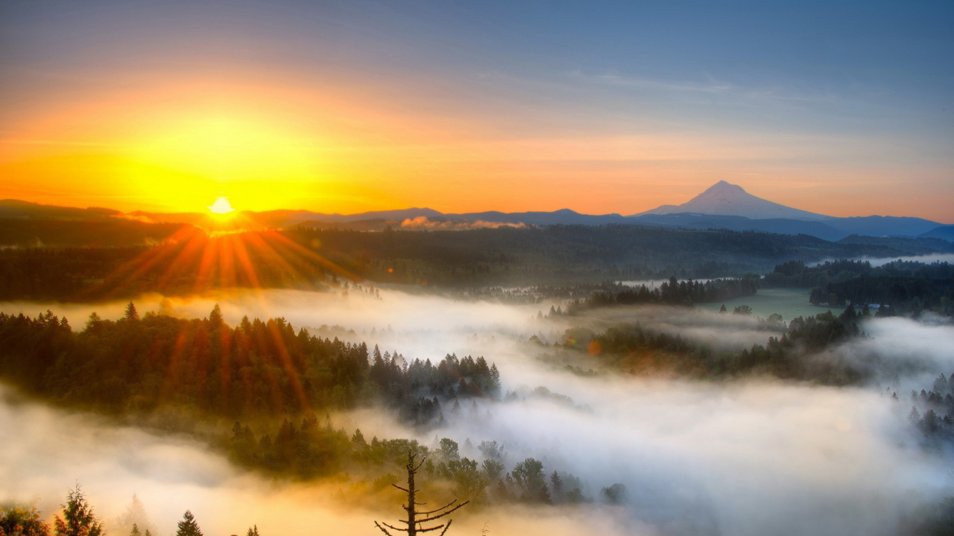 Обои восход солнца, закат, утро, природа, туман в разрешении 1366x768
