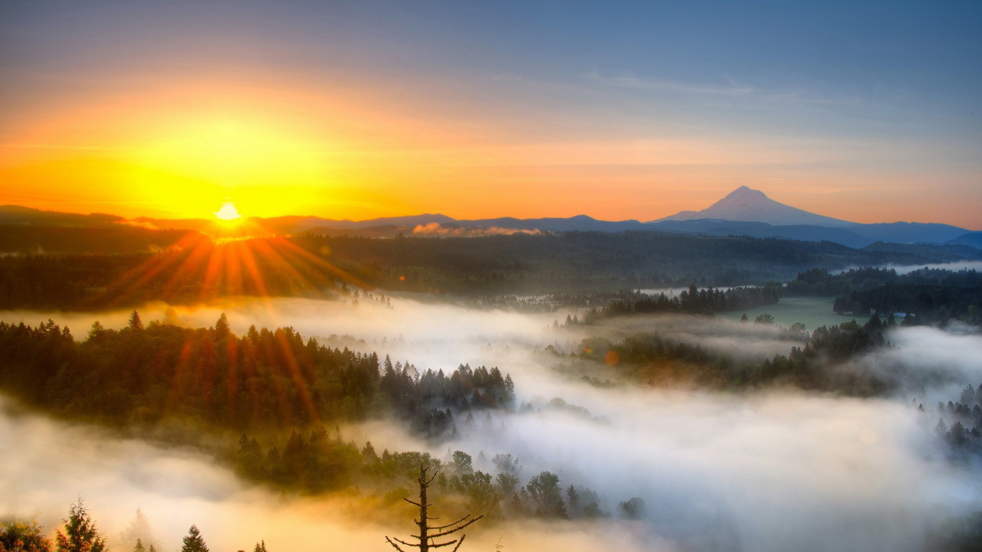 Обои восход солнца, закат, утро, природа, туман в разрешении 1920x1080